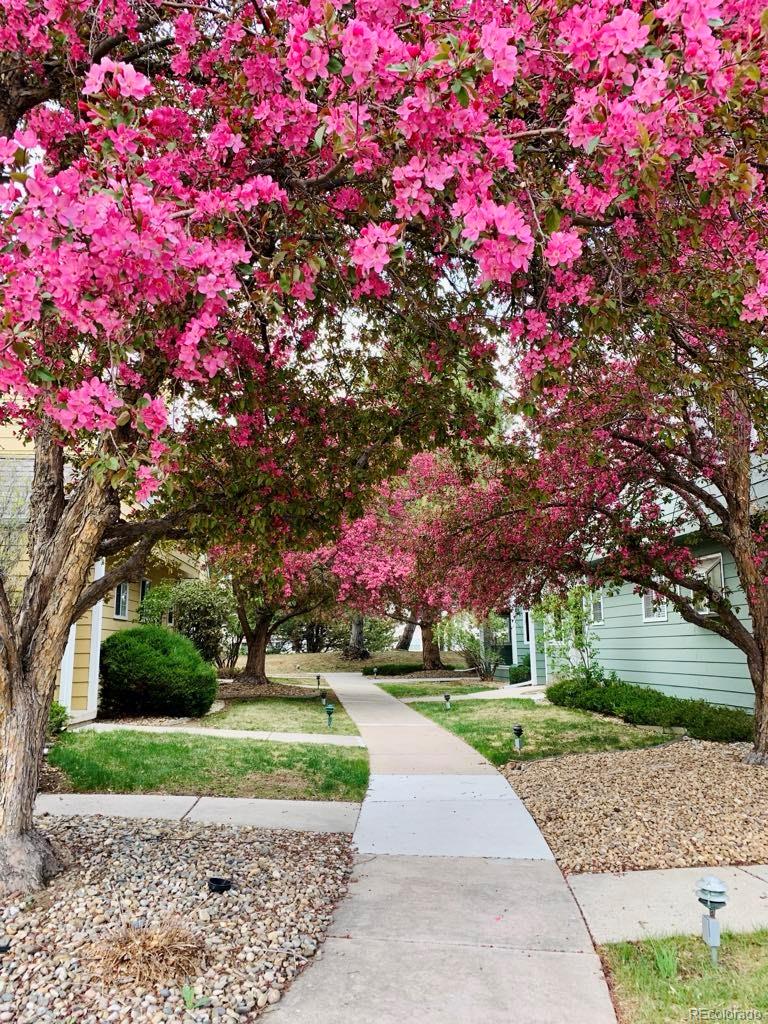 MLS Image #17 for 1911 s balsam street,lakewood, Colorado