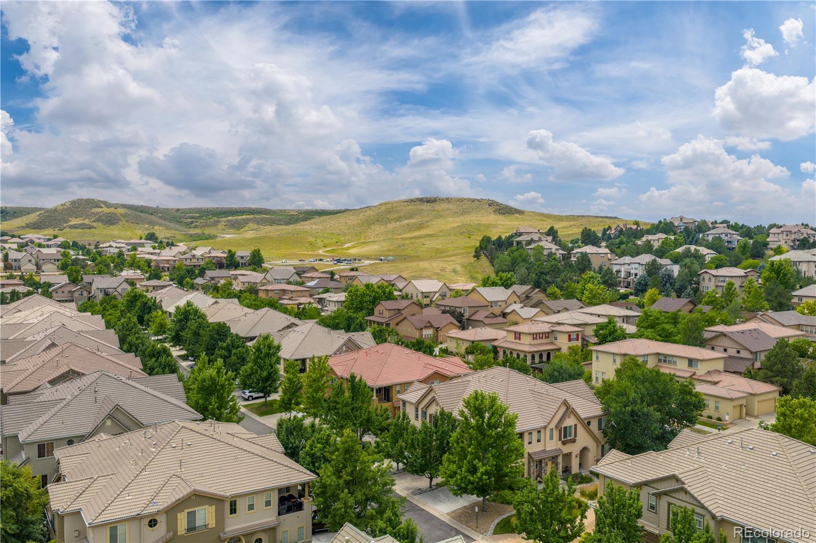MLS Image #19 for 10121  bluffmont lane,lone tree, Colorado