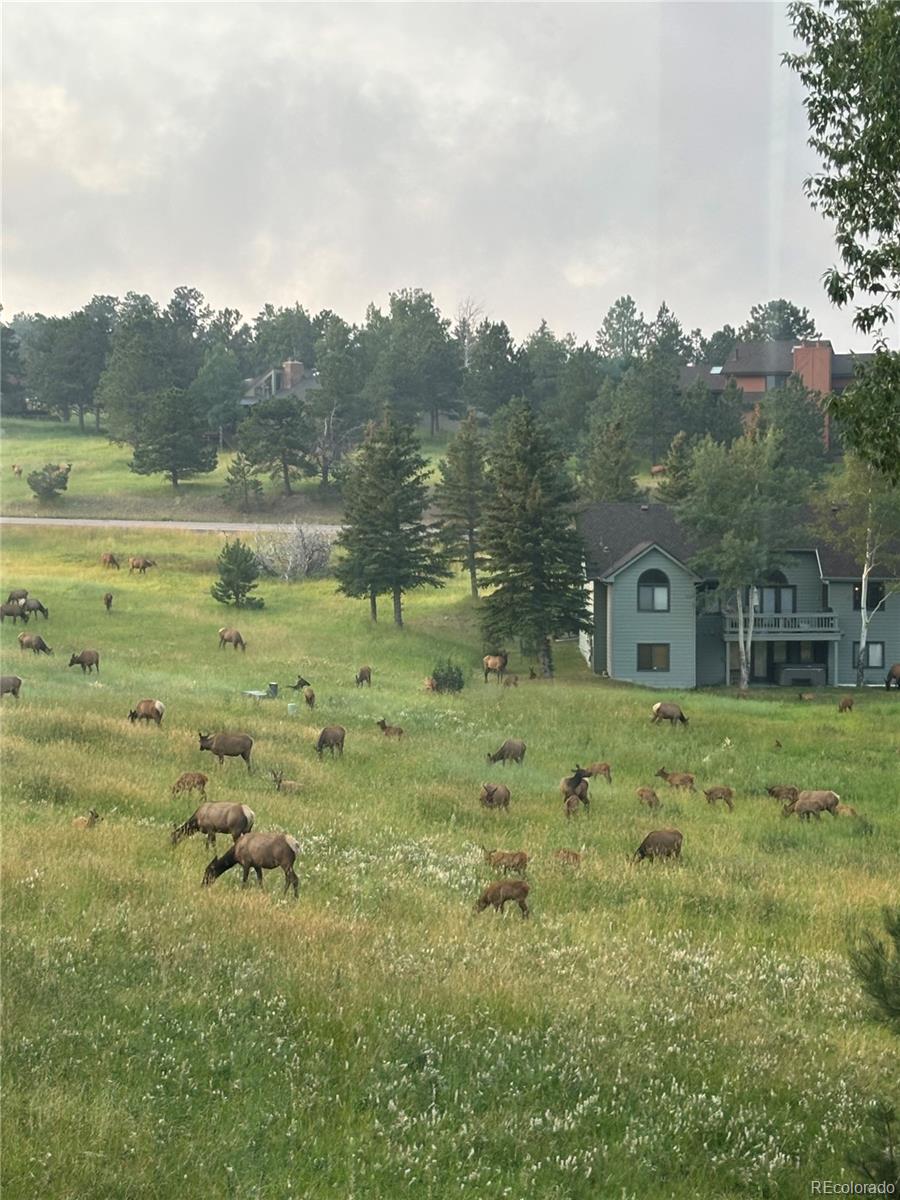 MLS Image #18 for 24056  currant drive,golden, Colorado