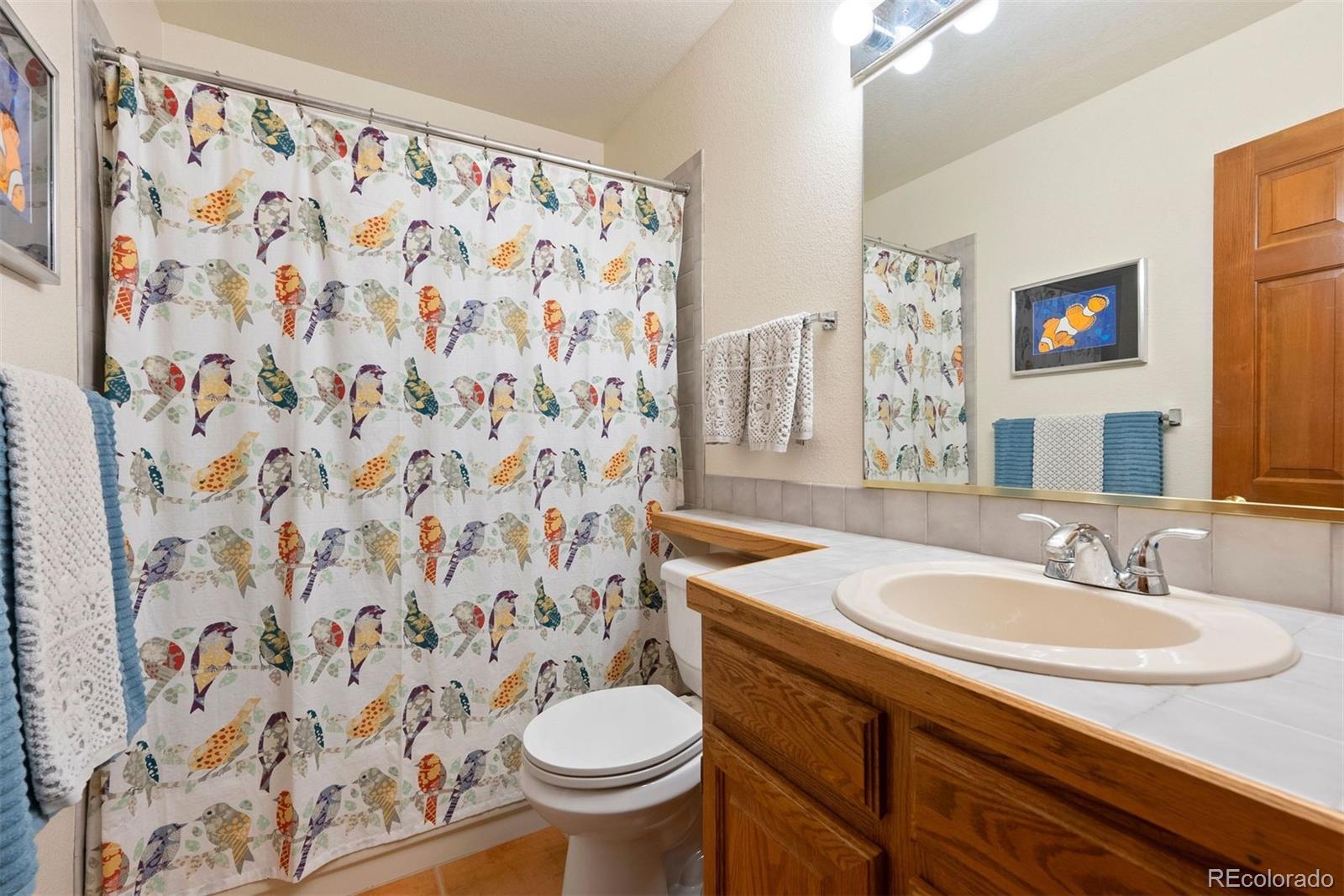 MLS Image #29 for 24056  currant drive,golden, Colorado