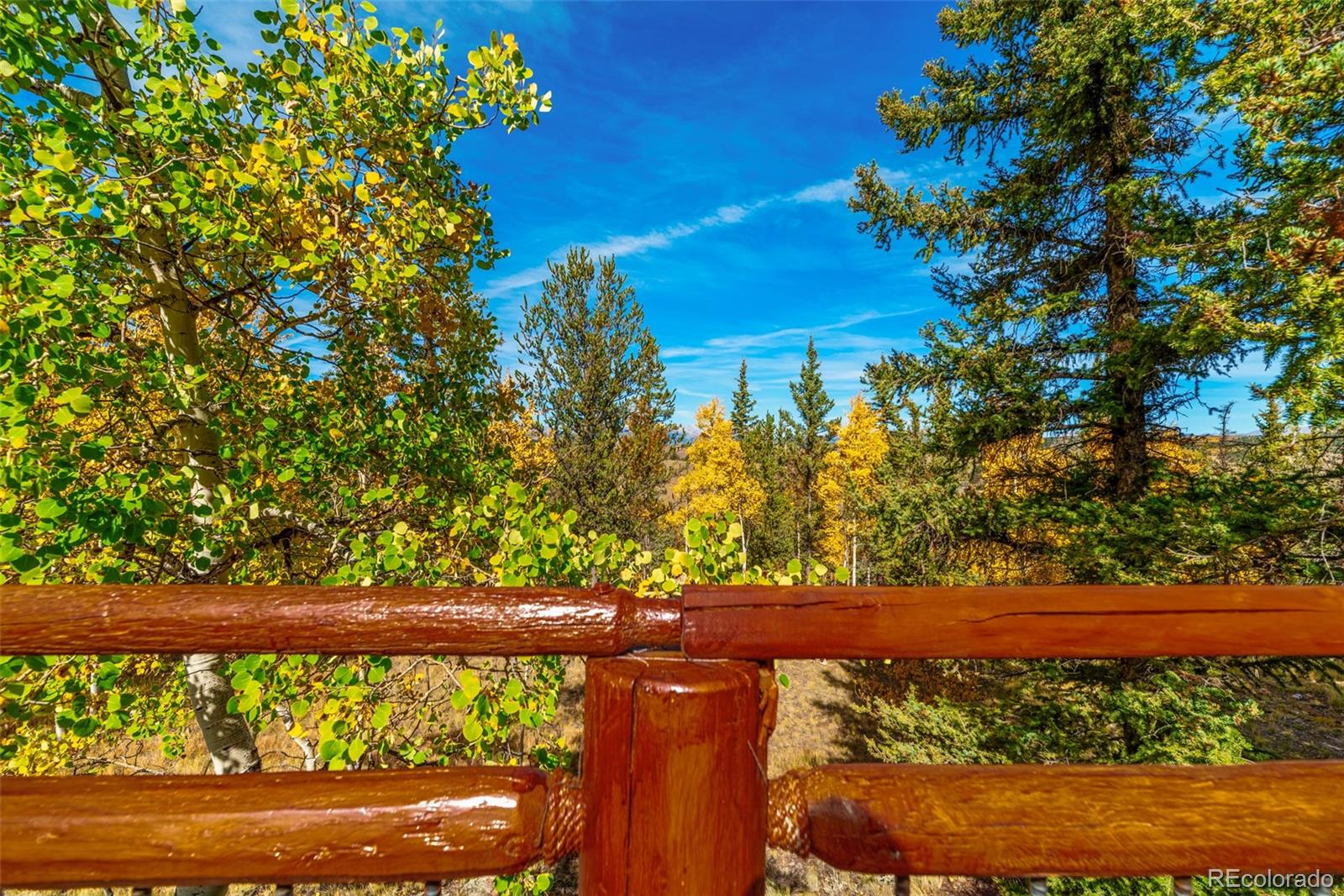 MLS Image #12 for 937  cumberland drive,jefferson, Colorado