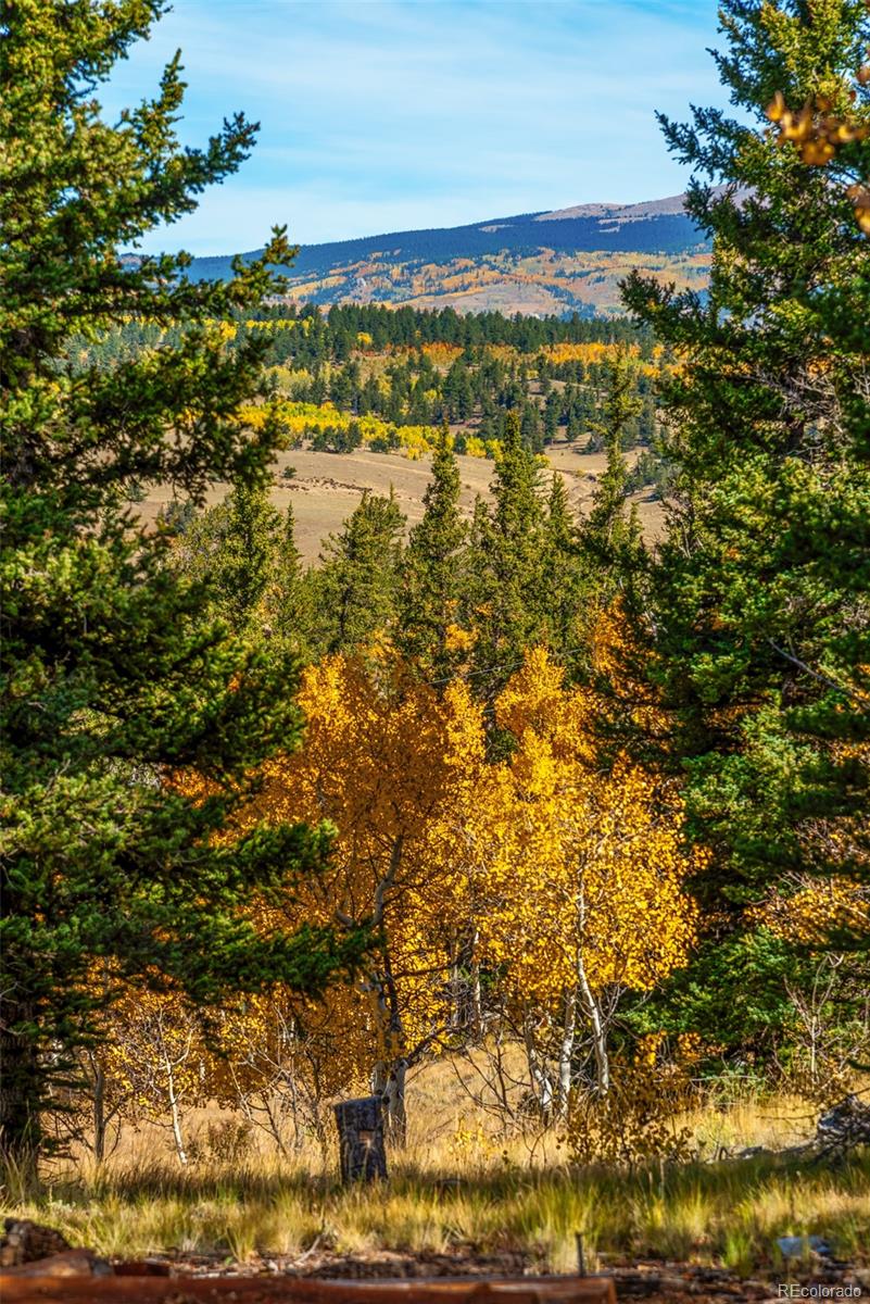 MLS Image #14 for 937  cumberland drive,jefferson, Colorado