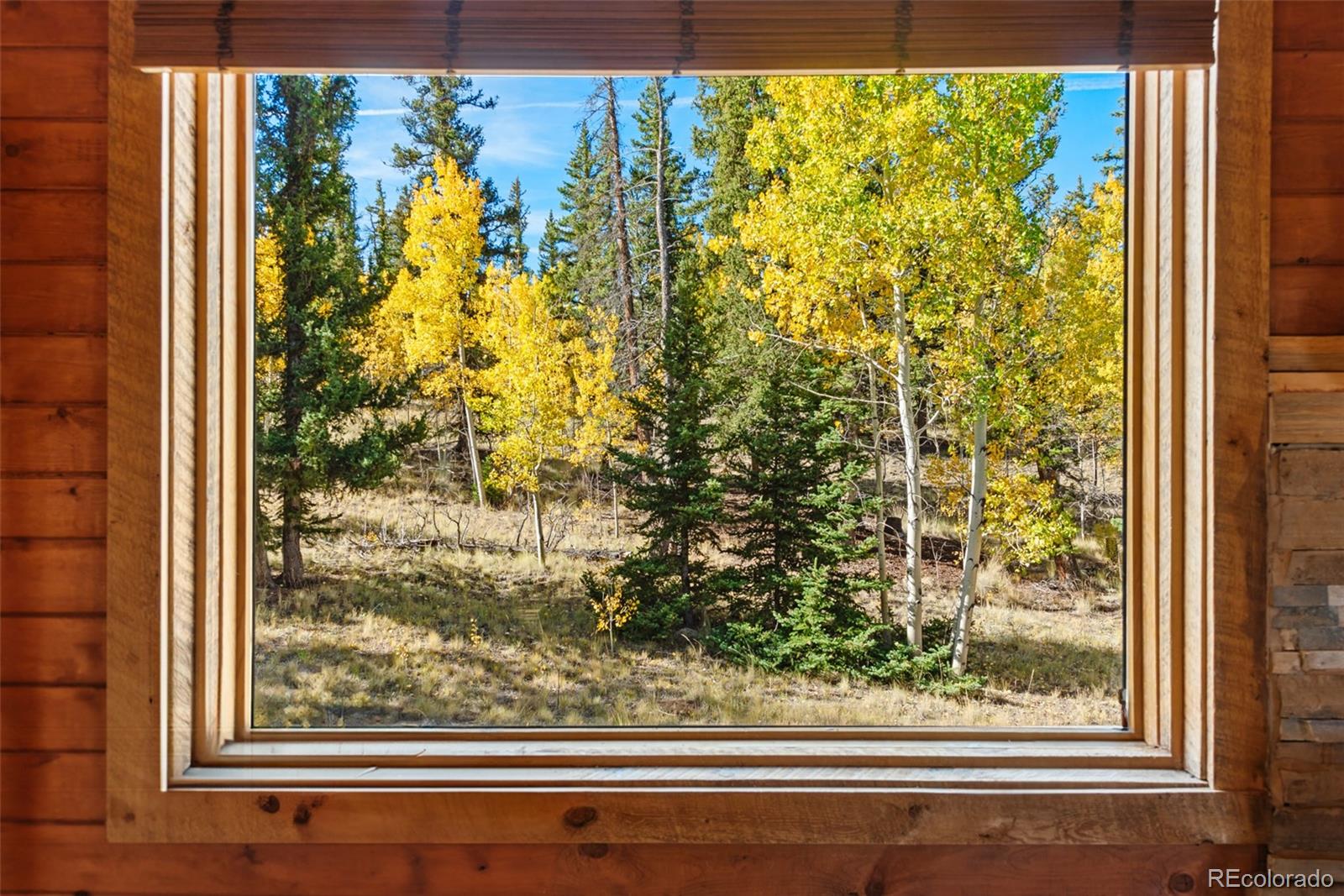 MLS Image #15 for 937  cumberland drive,jefferson, Colorado