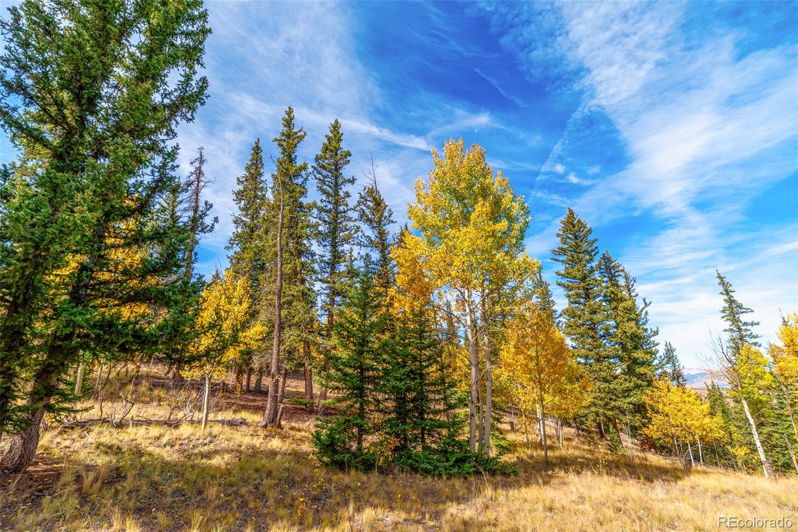 MLS Image #43 for 937  cumberland drive,jefferson, Colorado