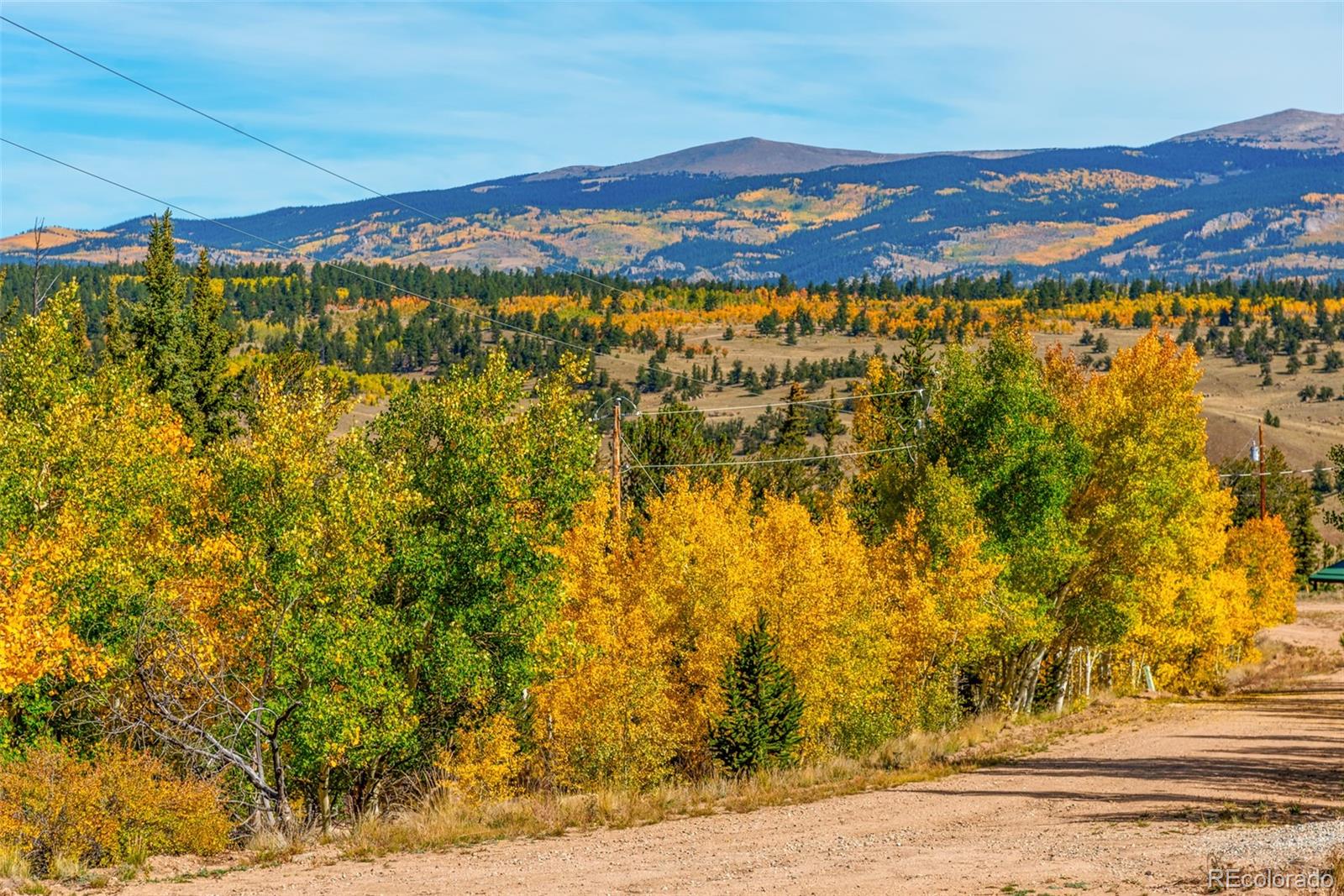 MLS Image #5 for 937  cumberland drive,jefferson, Colorado