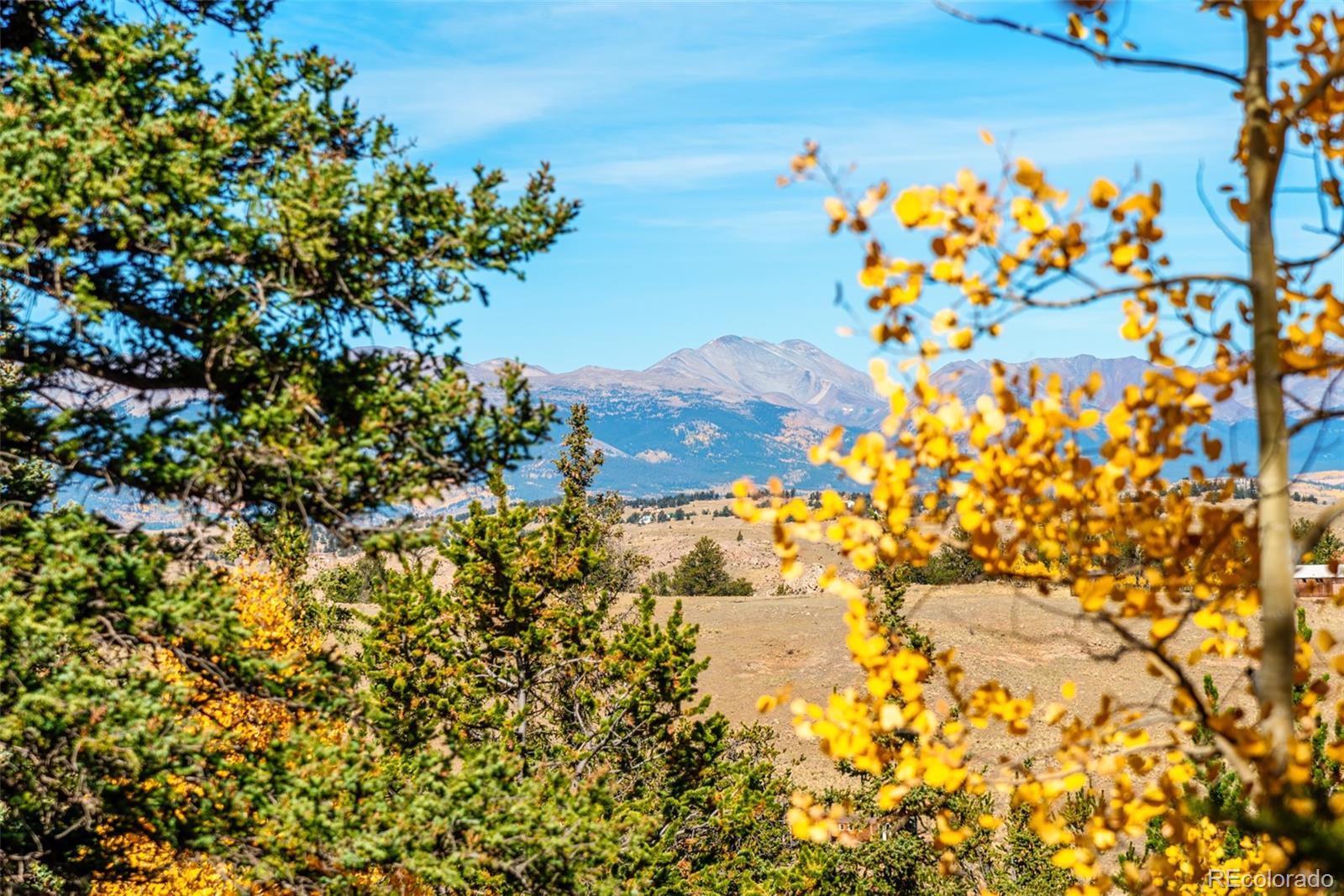 MLS Image #6 for 937  cumberland drive,jefferson, Colorado