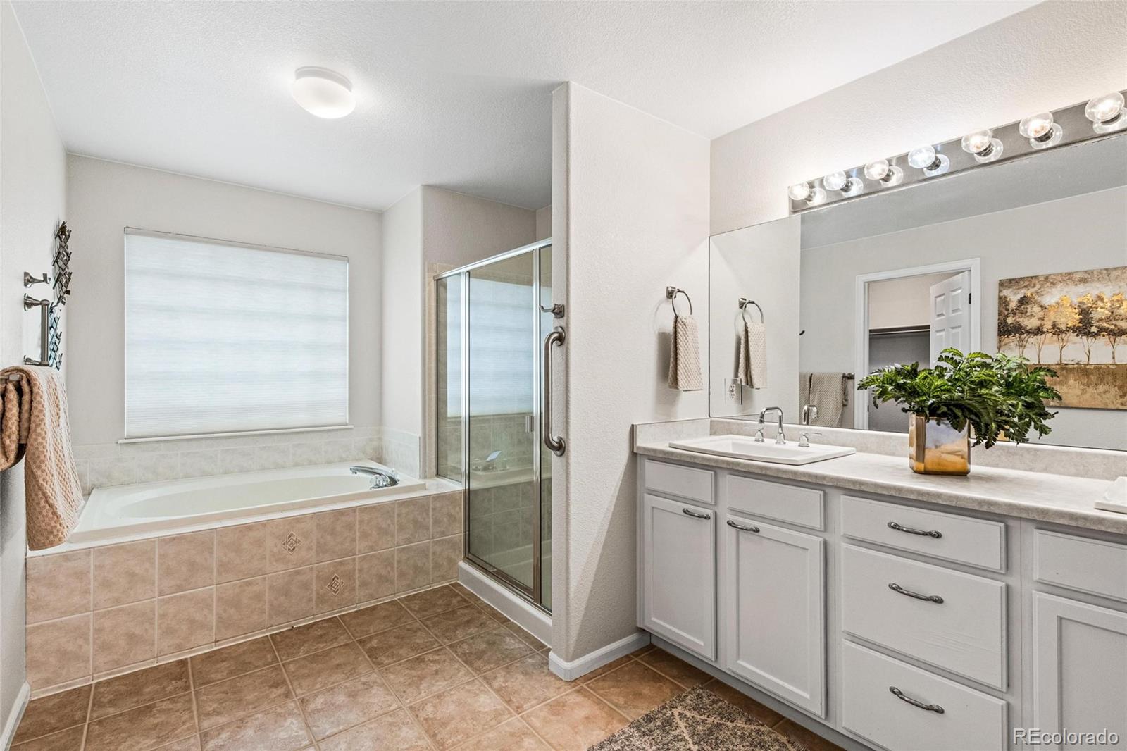 MLS Image #9 for 4974 s newcombe court,littleton, Colorado