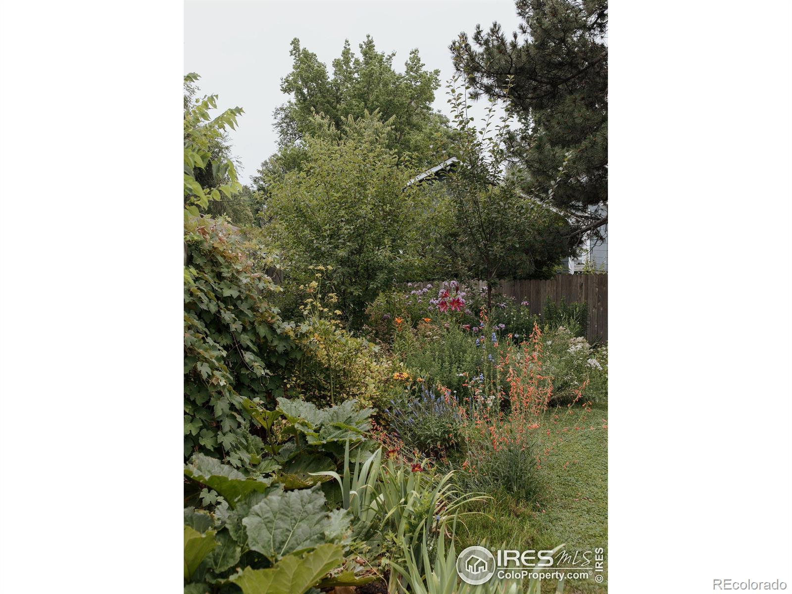 MLS Image #30 for 530  smith street,fort collins, Colorado