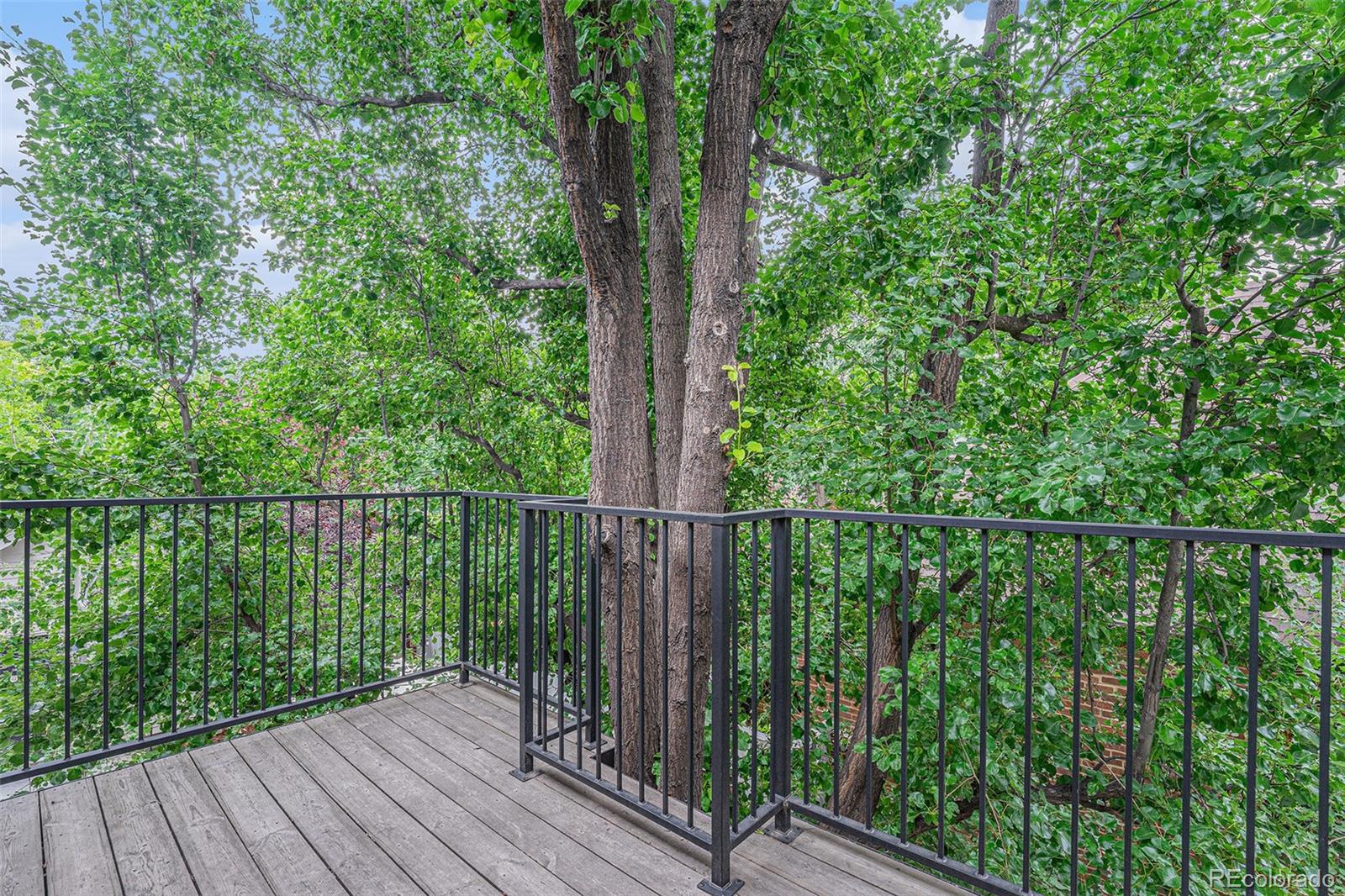 MLS Image #20 for 2040  krameria street,denver, Colorado