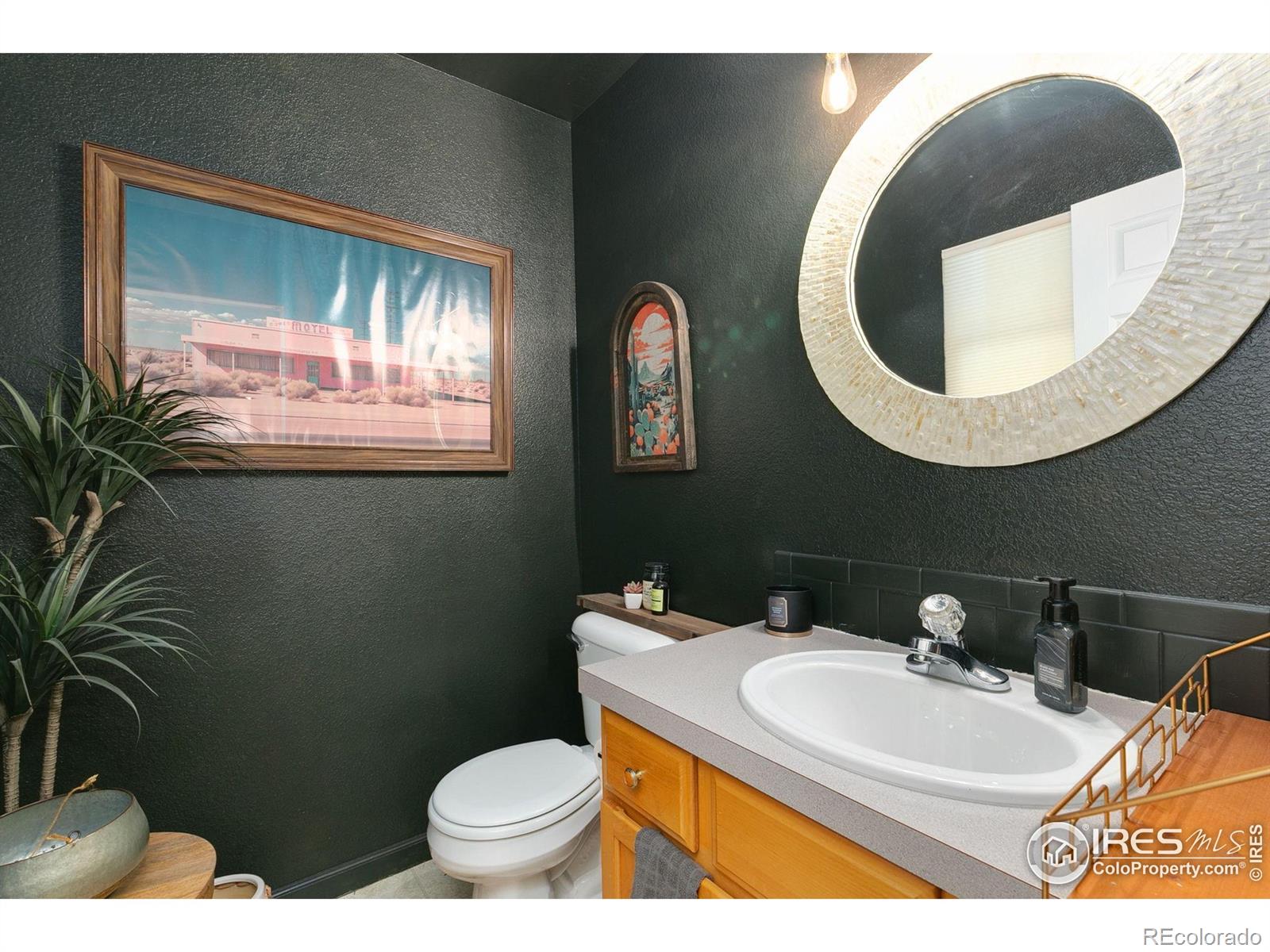 MLS Image #11 for 3845  lochside lane,fort collins, Colorado