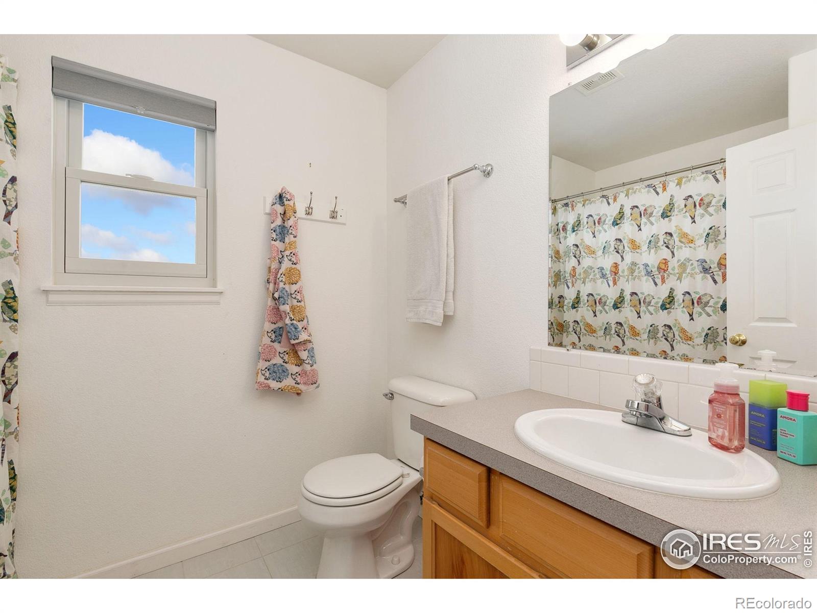 MLS Image #19 for 3845  lochside lane,fort collins, Colorado