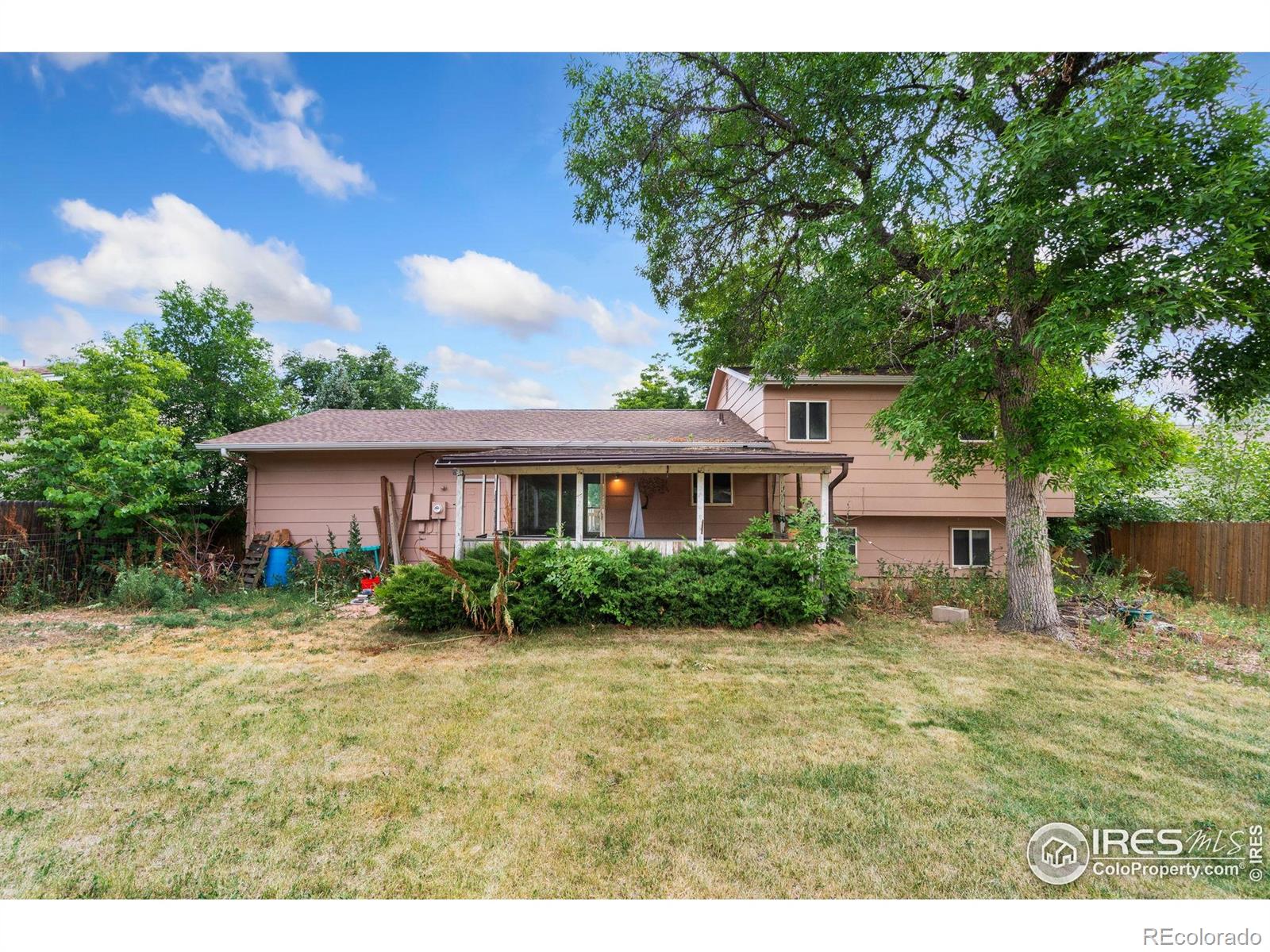 MLS Image #11 for 1723  elmwood street,broomfield, Colorado