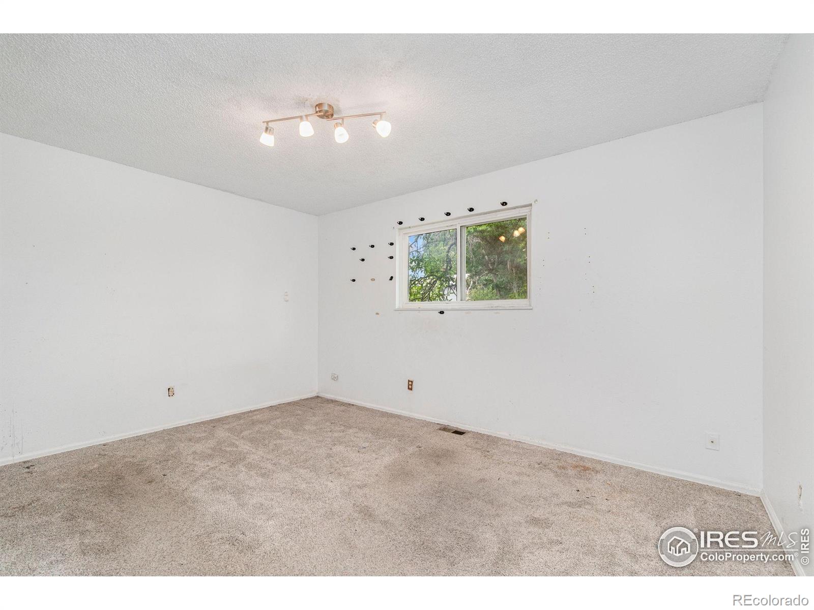 MLS Image #6 for 1723  elmwood street,broomfield, Colorado