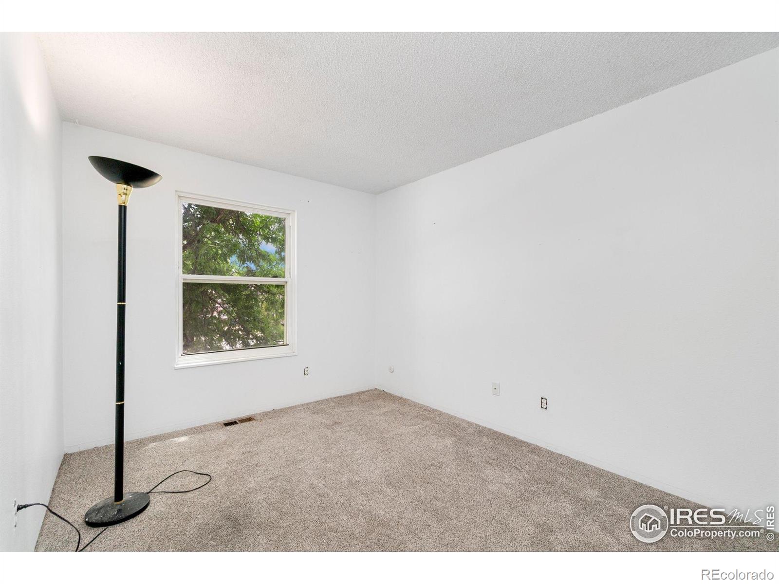 MLS Image #7 for 1723  elmwood street,broomfield, Colorado