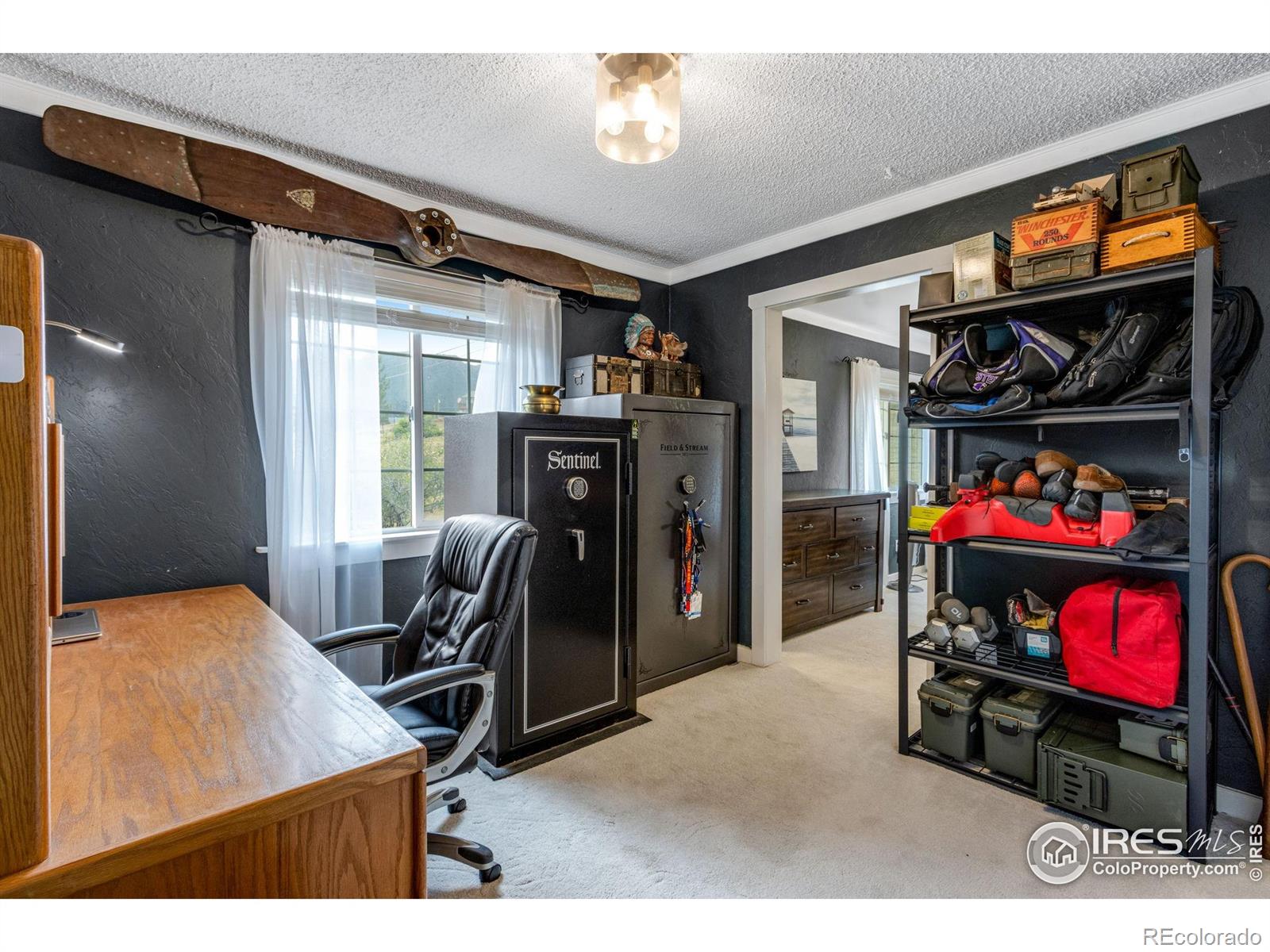 MLS Image #24 for 619  whispering pines drive,estes park, Colorado