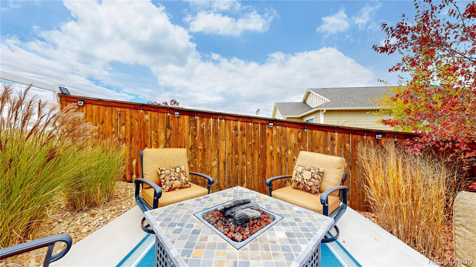 MLS Image #43 for 3158 s nepal way,aurora, Colorado