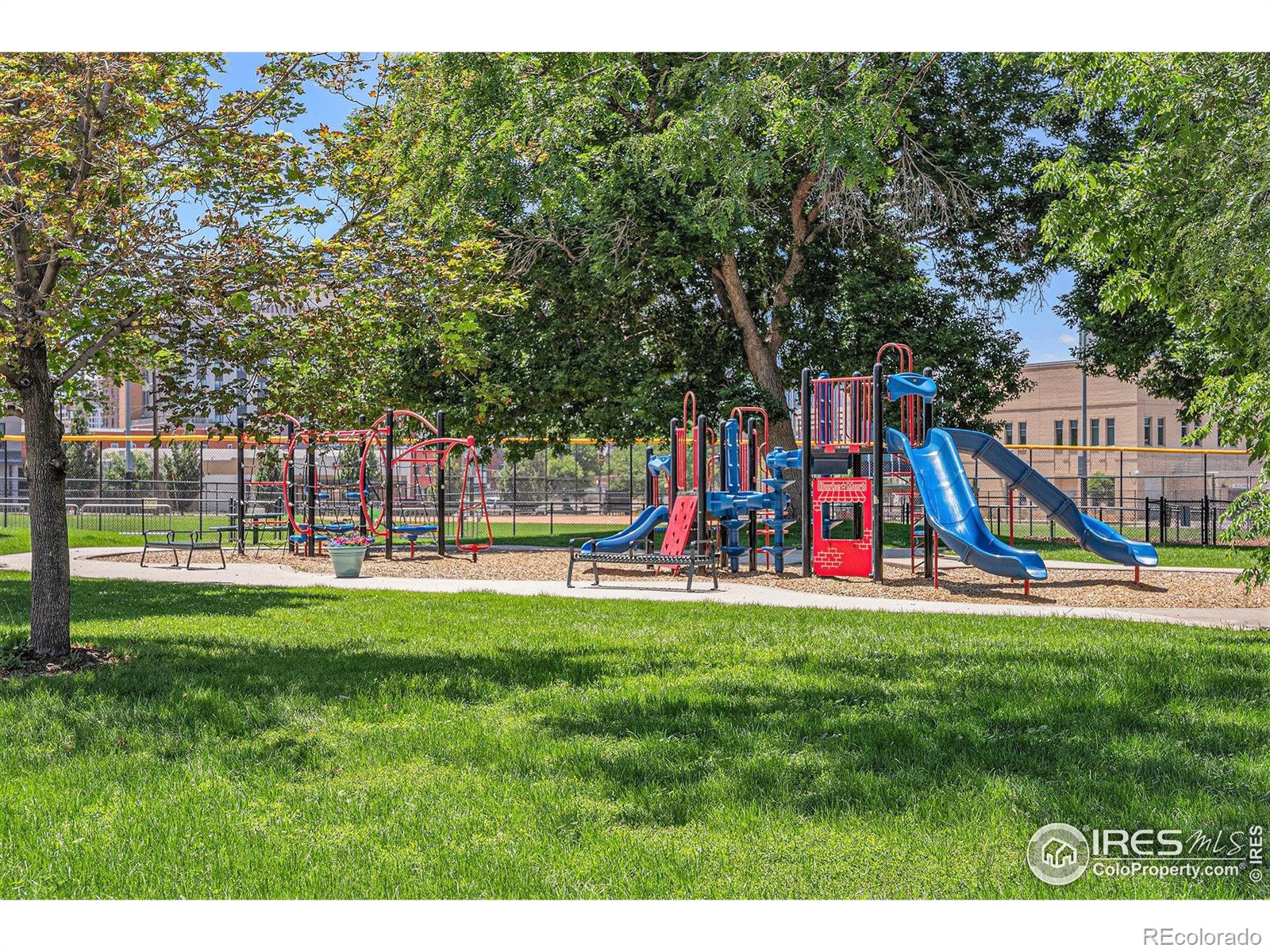 MLS Image #11 for 1021 e 23rd avenue,denver, Colorado