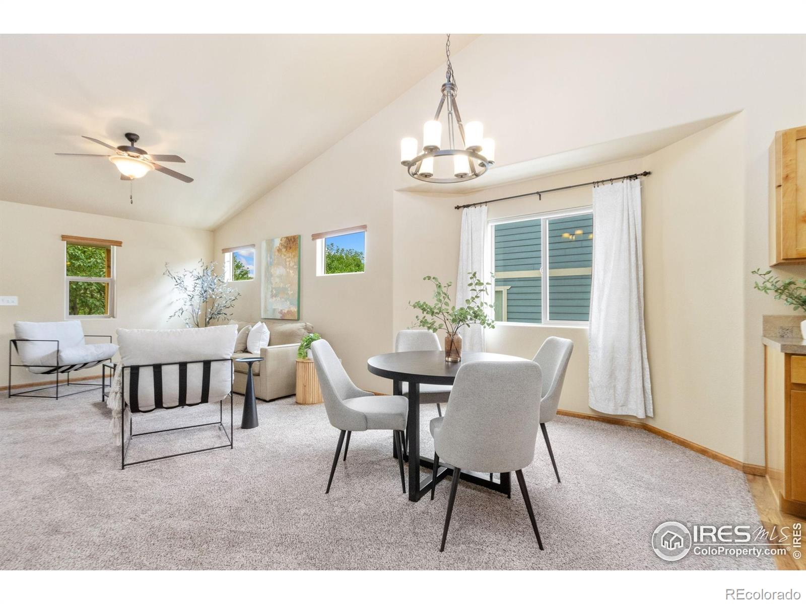 MLS Image #10 for 3384  foster place,loveland, Colorado