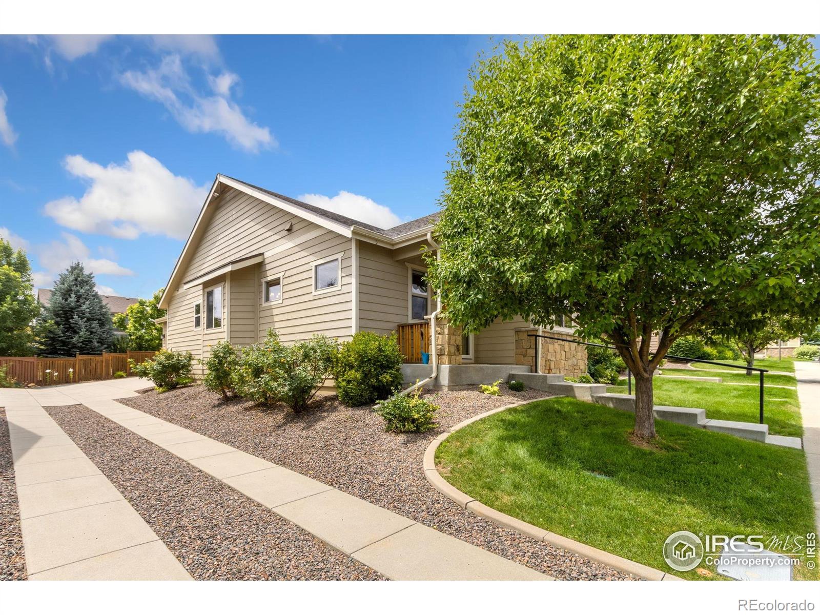 MLS Image #2 for 3384  foster place,loveland, Colorado
