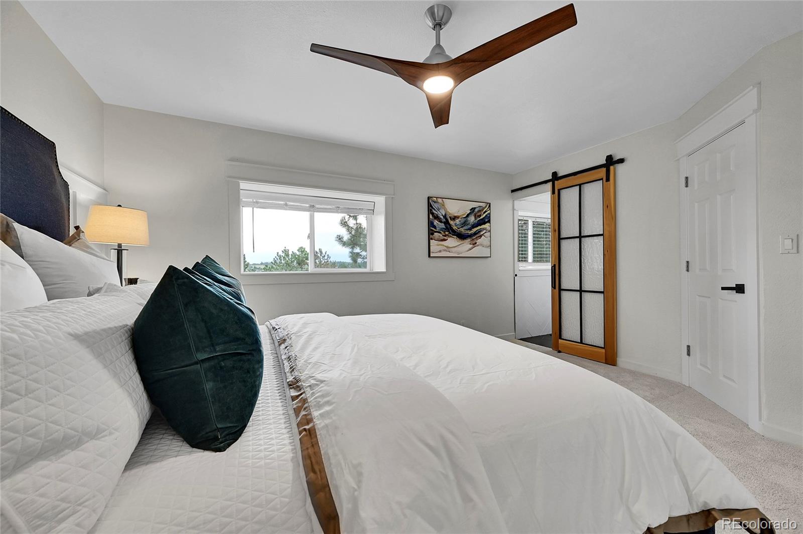 MLS Image #23 for 8916  sunridge hollow road,parker, Colorado