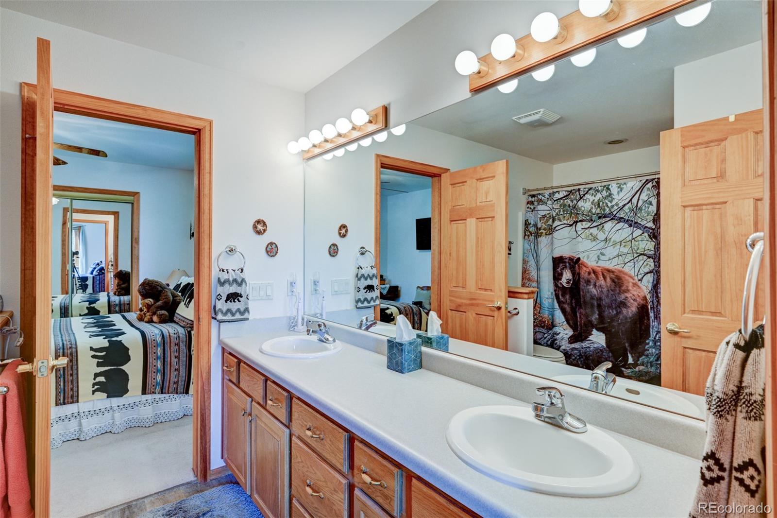 MLS Image #40 for 29330  county road 358a ,buena vista, Colorado