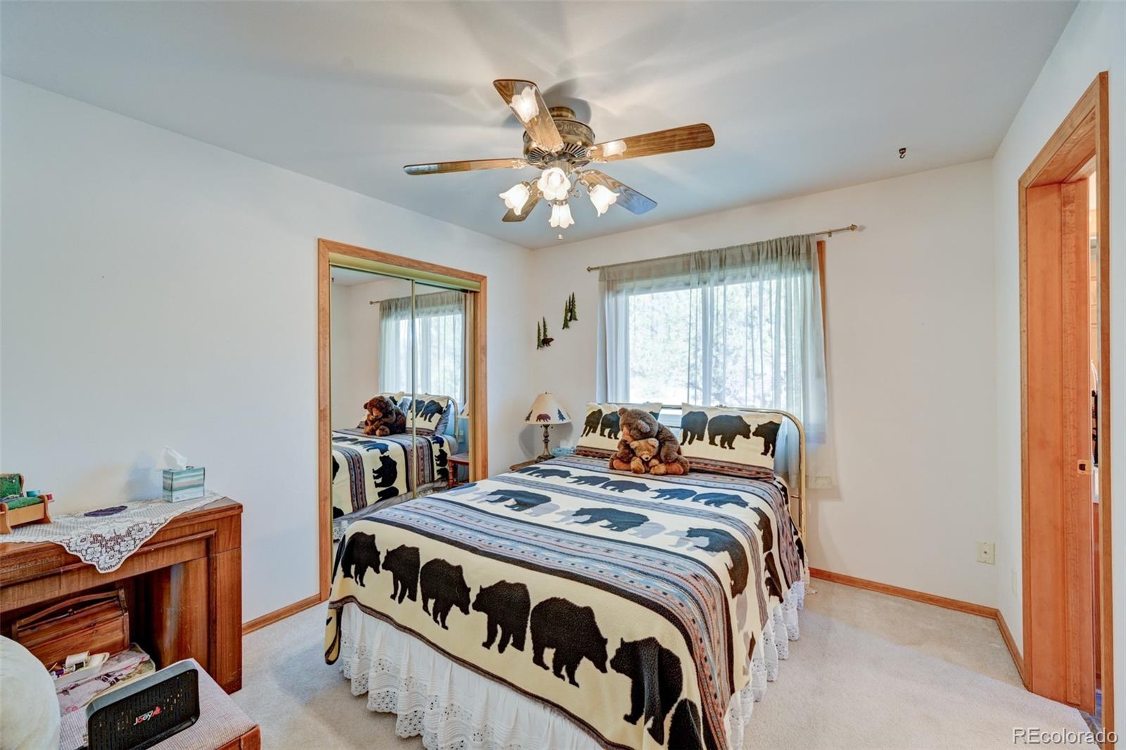 MLS Image #43 for 29330  county road 358a ,buena vista, Colorado