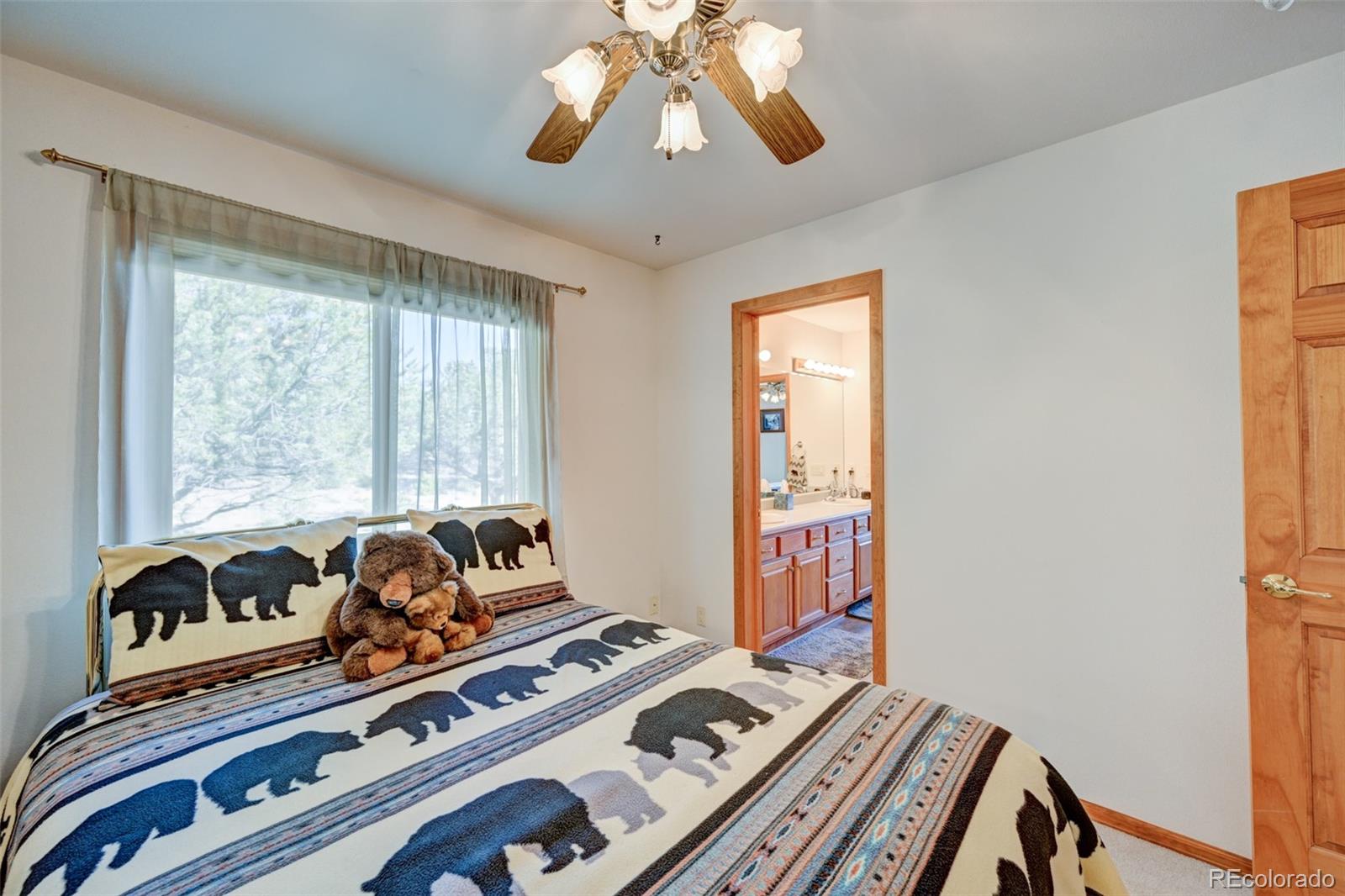 MLS Image #44 for 29330  county road 358a ,buena vista, Colorado
