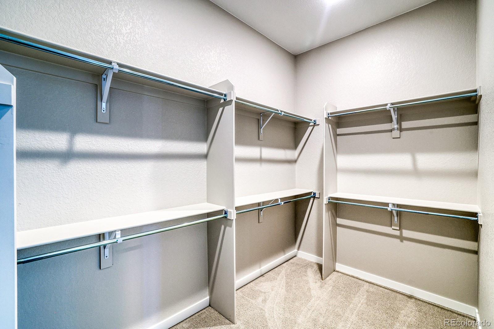 MLS Image #15 for 8555  hotchkiss street,littleton, Colorado