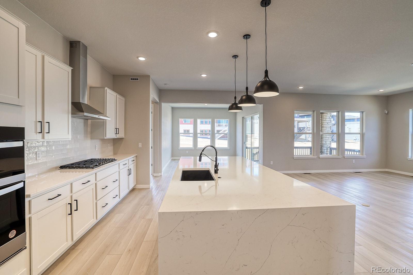 MLS Image #3 for 8555  hotchkiss street,littleton, Colorado