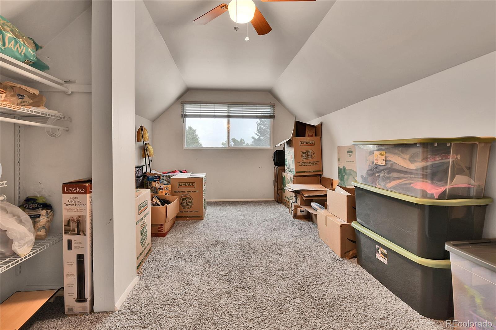 MLS Image #18 for 8156  downing street,denver, Colorado