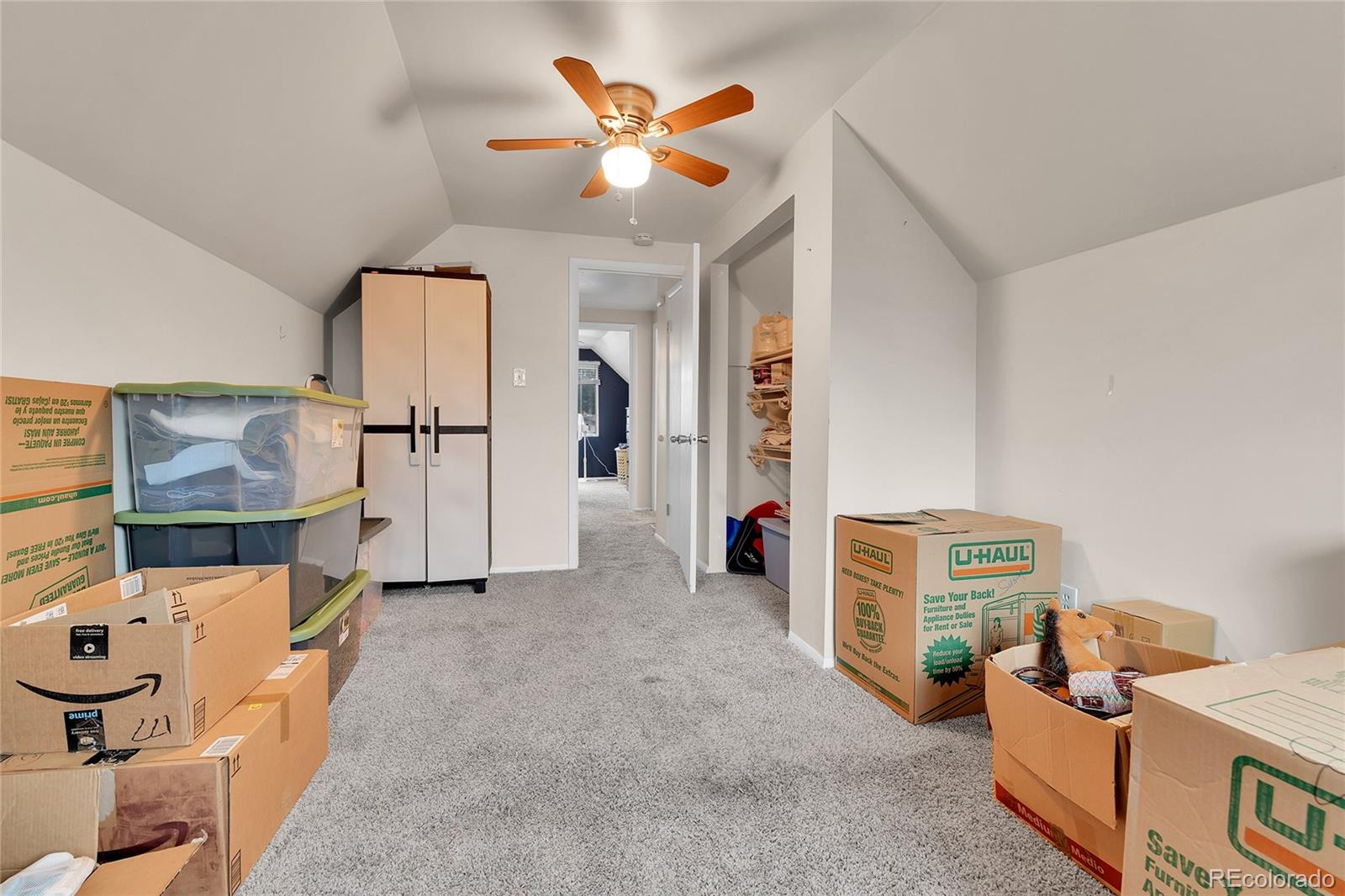 MLS Image #19 for 8156  downing street,denver, Colorado