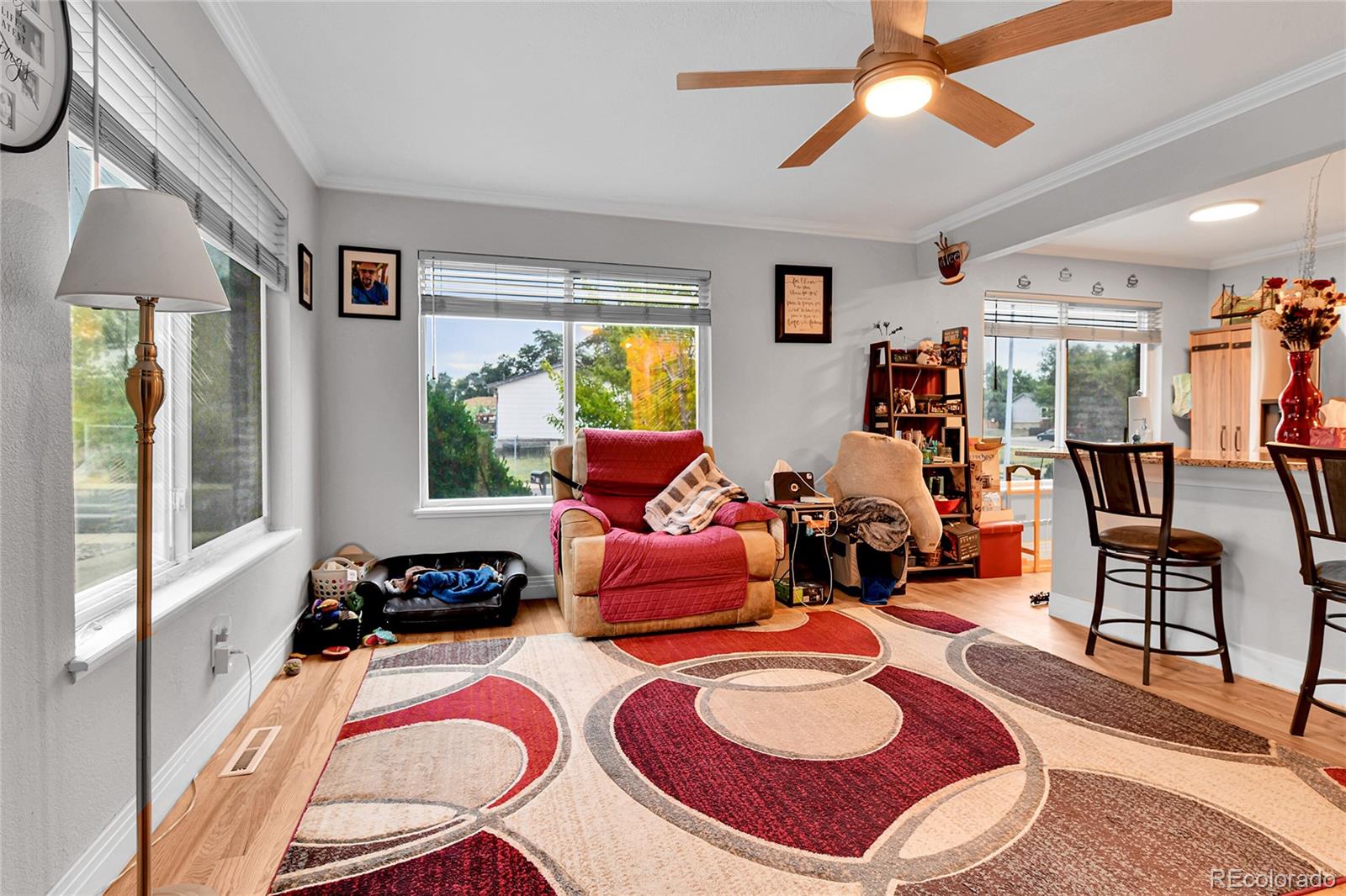 MLS Image #4 for 8156  downing street,denver, Colorado