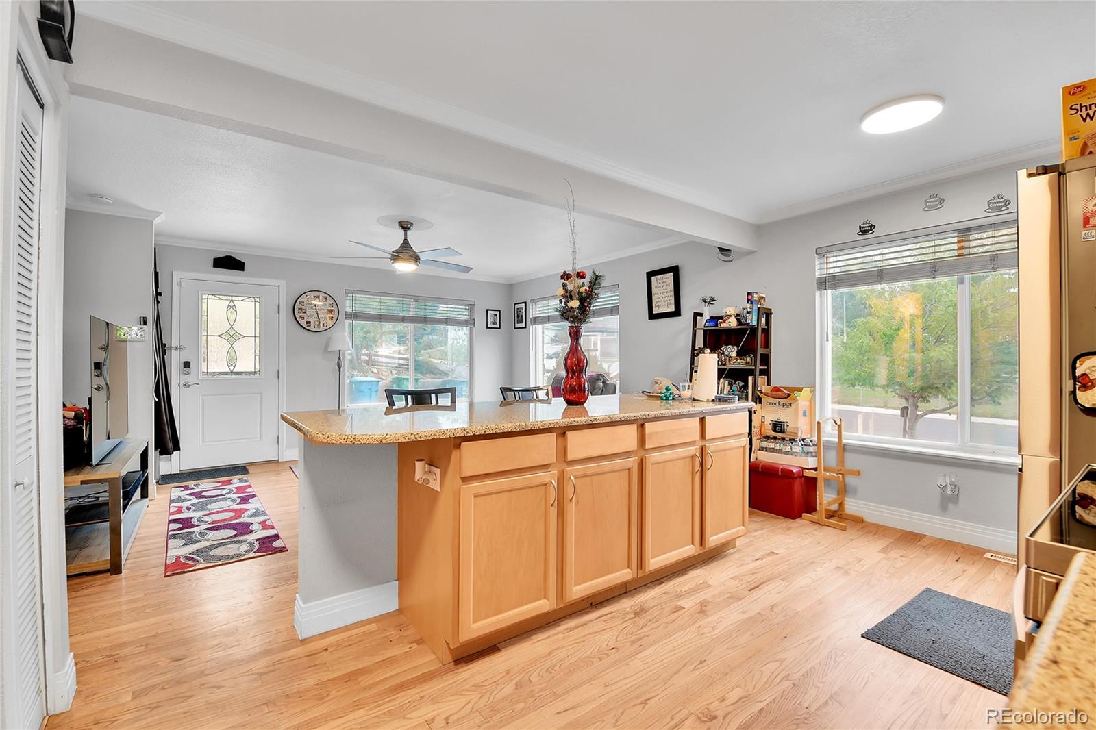 MLS Image #9 for 8156  downing street,denver, Colorado