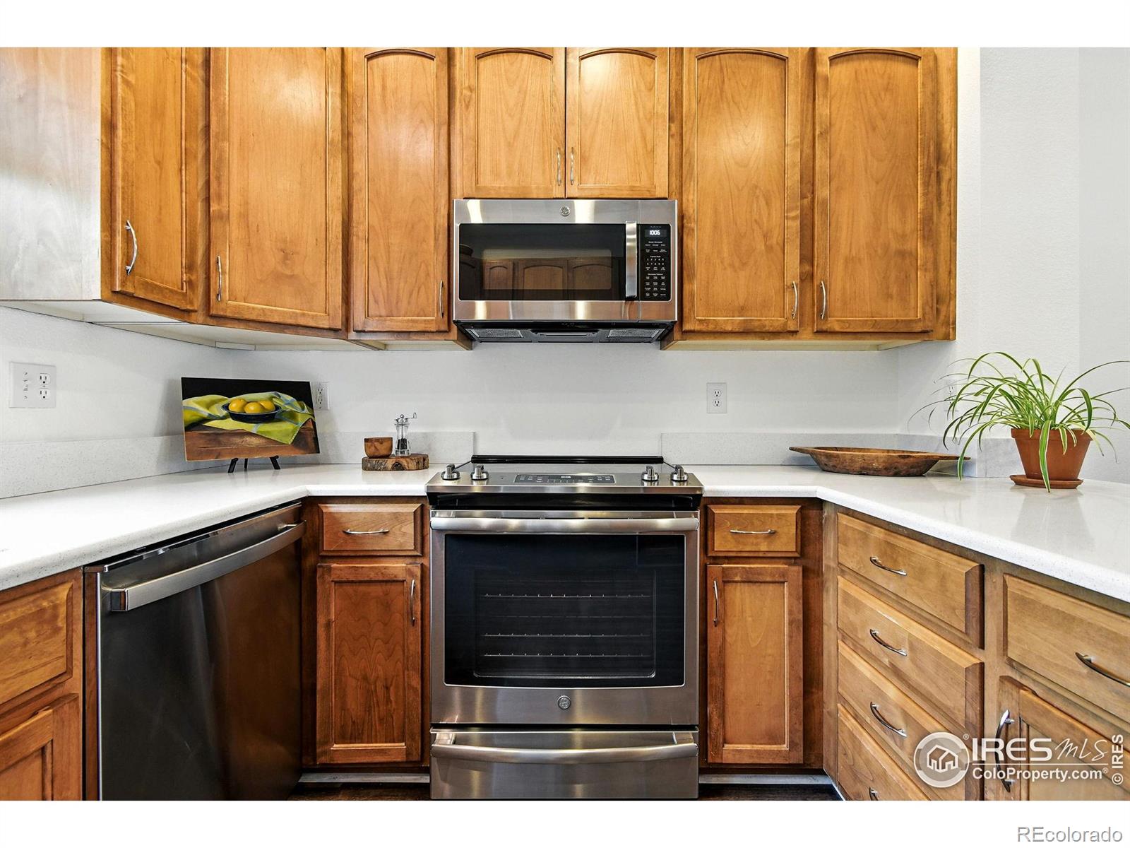 MLS Image #10 for 1278  hummingbird circle,longmont, Colorado