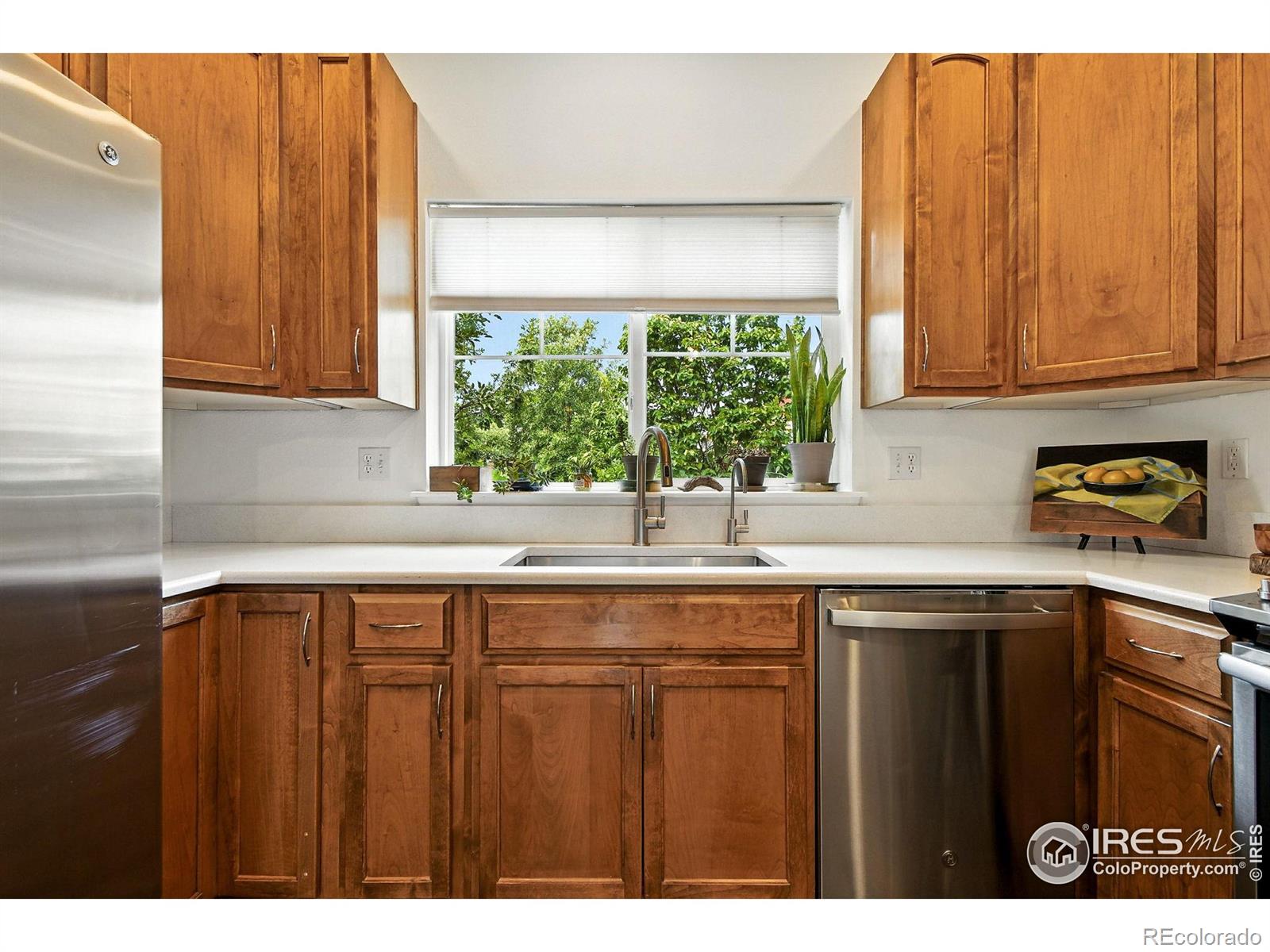 MLS Image #11 for 1278  hummingbird circle,longmont, Colorado