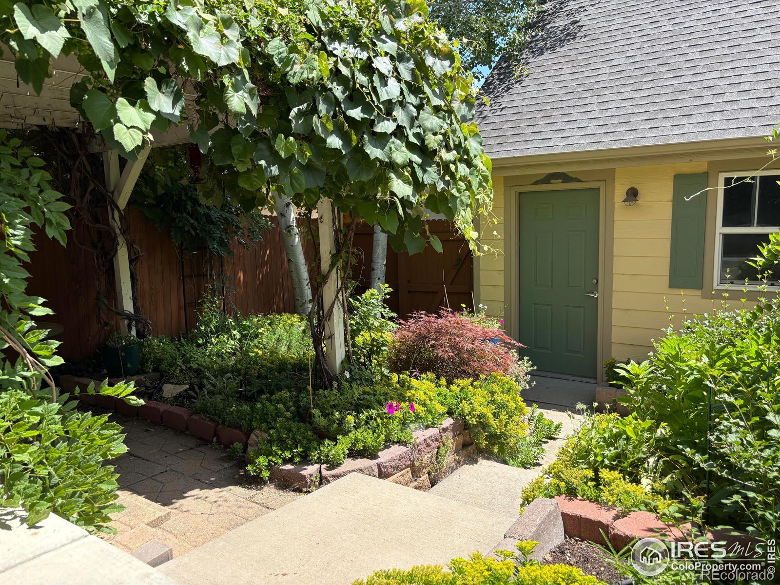 MLS Image #25 for 1278  hummingbird circle,longmont, Colorado