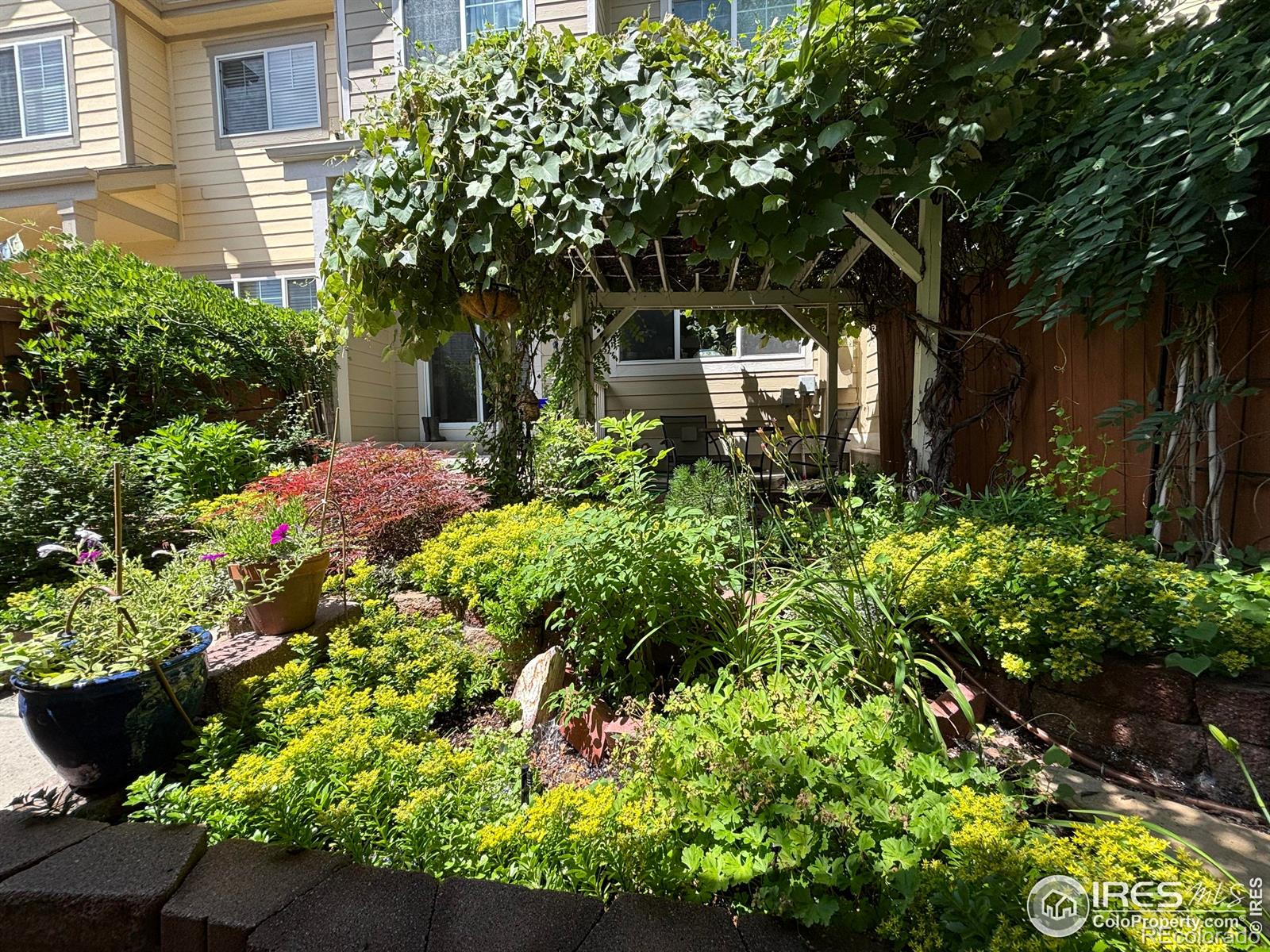 MLS Image #27 for 1278  hummingbird circle,longmont, Colorado