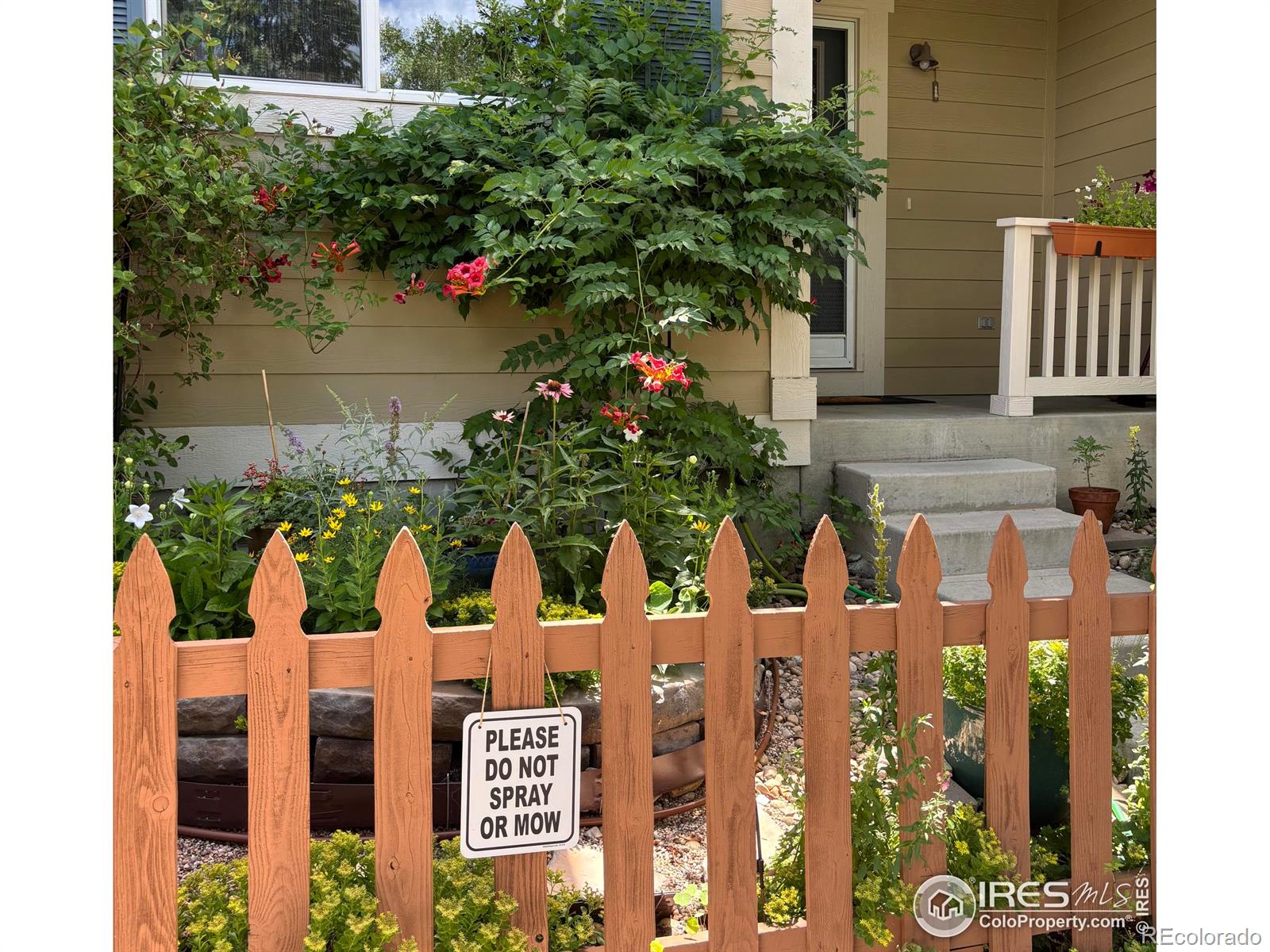 MLS Image #32 for 1278  hummingbird circle,longmont, Colorado