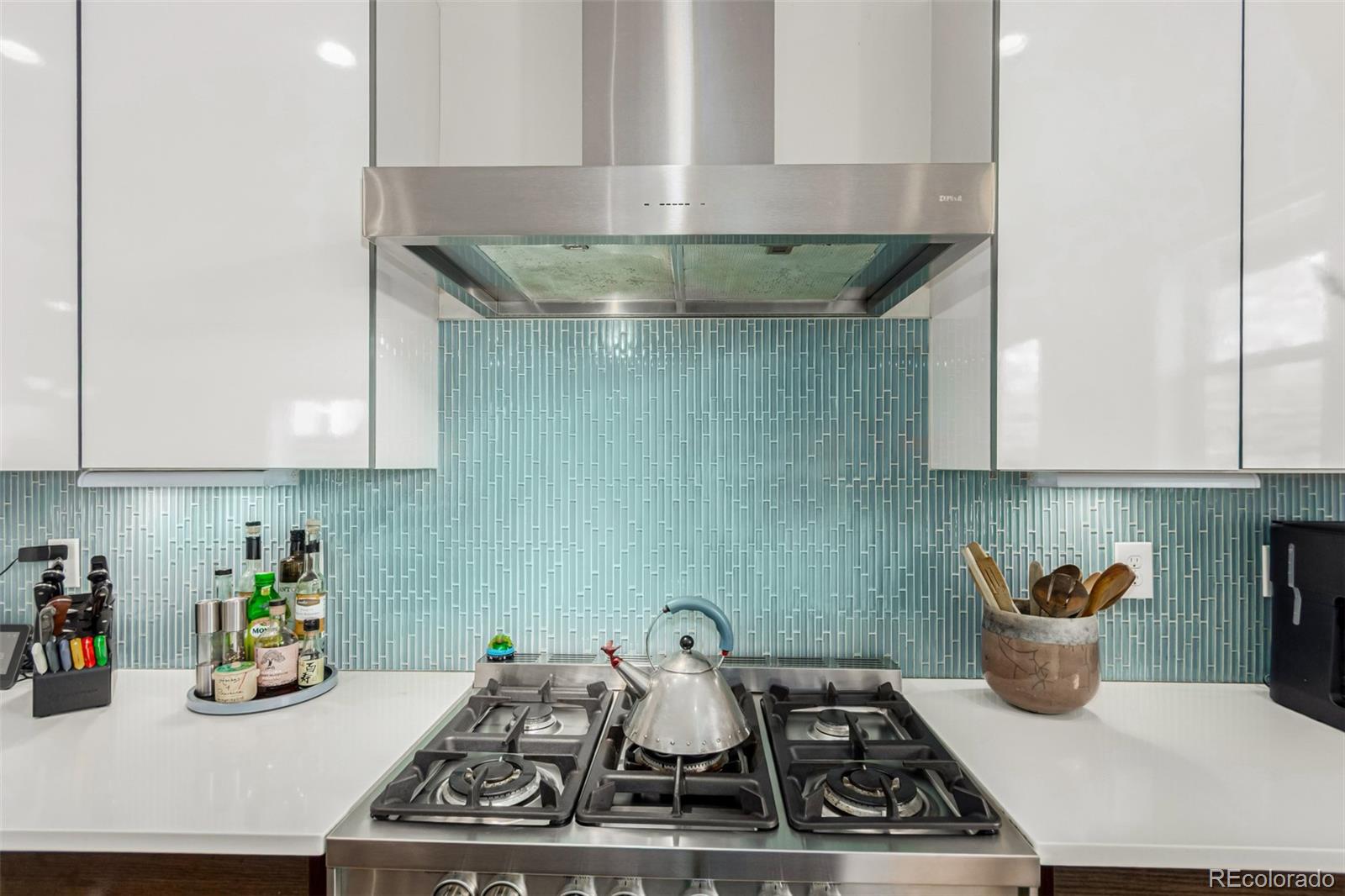 MLS Image #9 for 3168 w 29th avenue,denver, Colorado