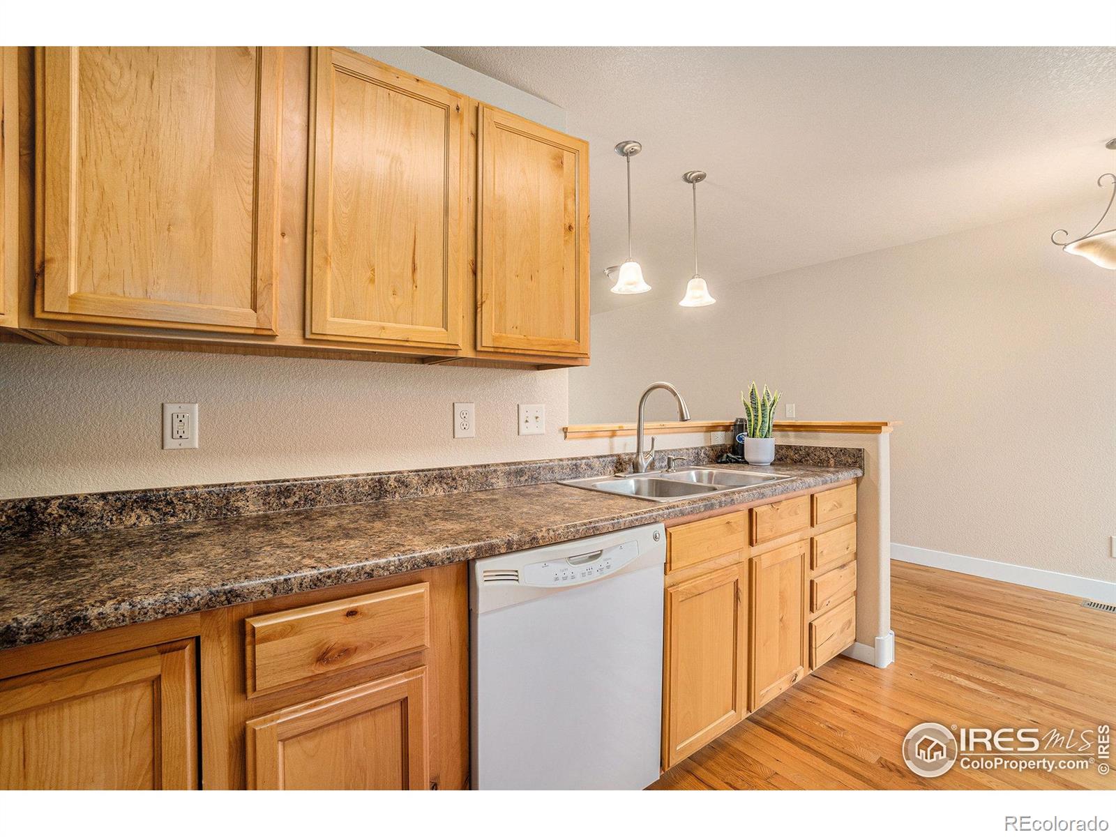 MLS Image #13 for 638  ebon pica street,fort collins, Colorado