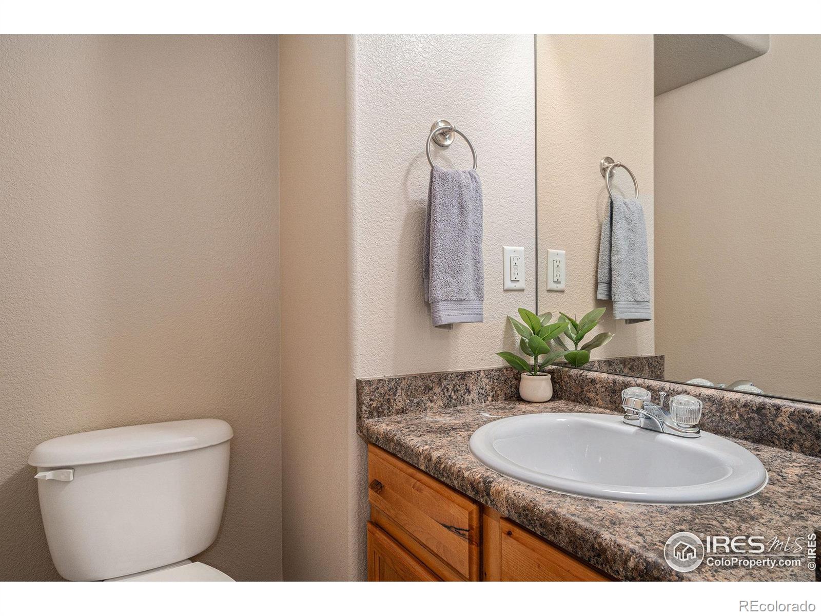 MLS Image #14 for 638  ebon pica street,fort collins, Colorado