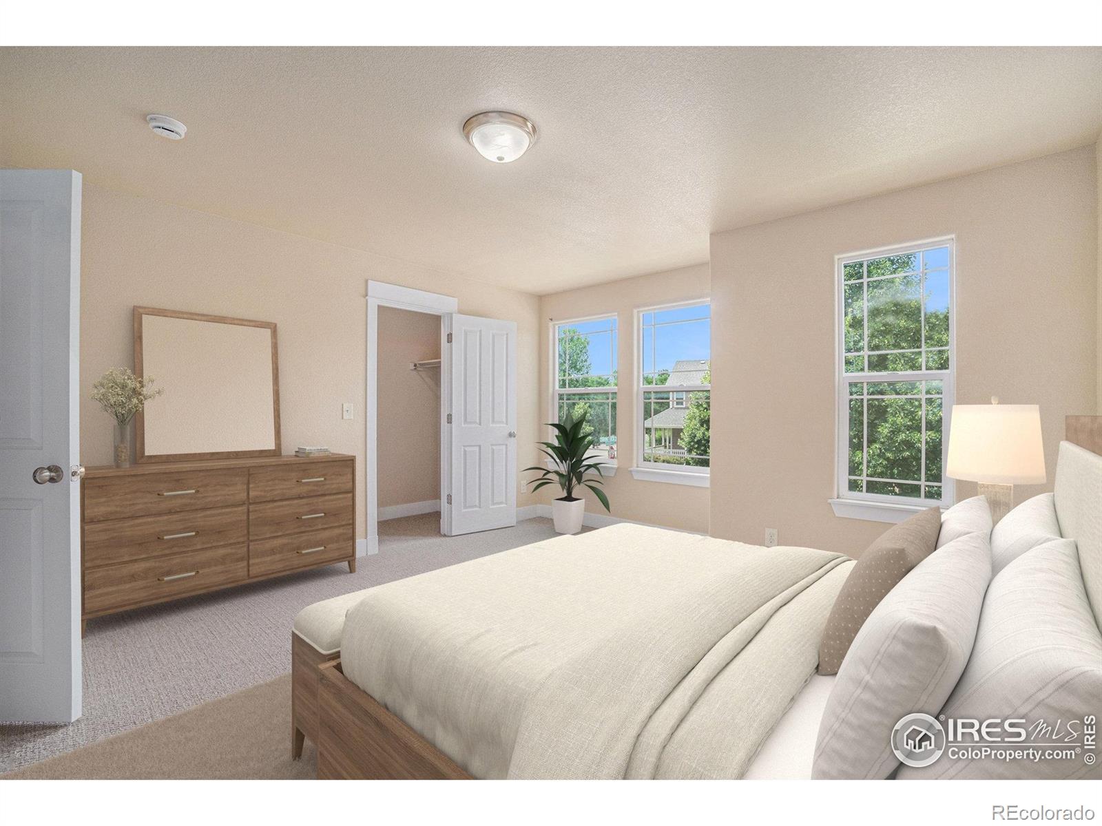 MLS Image #15 for 638  ebon pica street,fort collins, Colorado