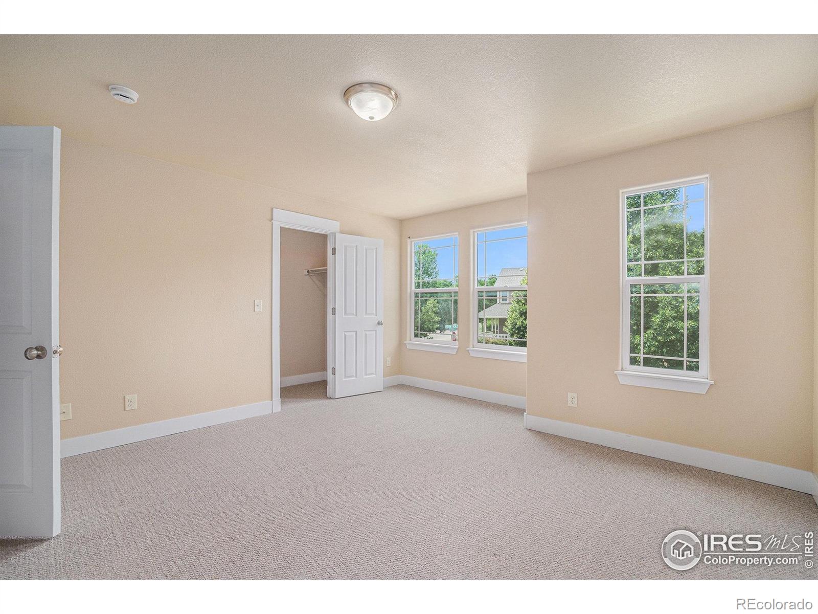MLS Image #16 for 638  ebon pica street,fort collins, Colorado