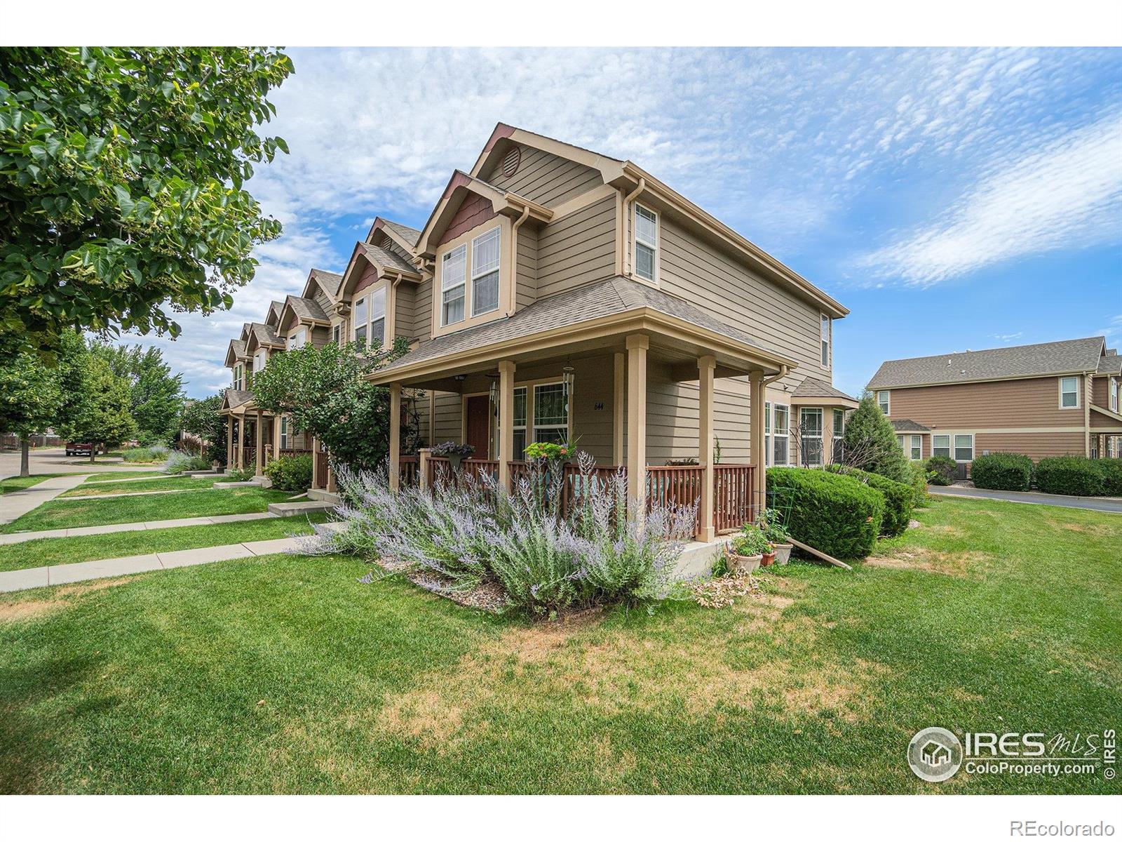 MLS Image #2 for 638  ebon pica street,fort collins, Colorado