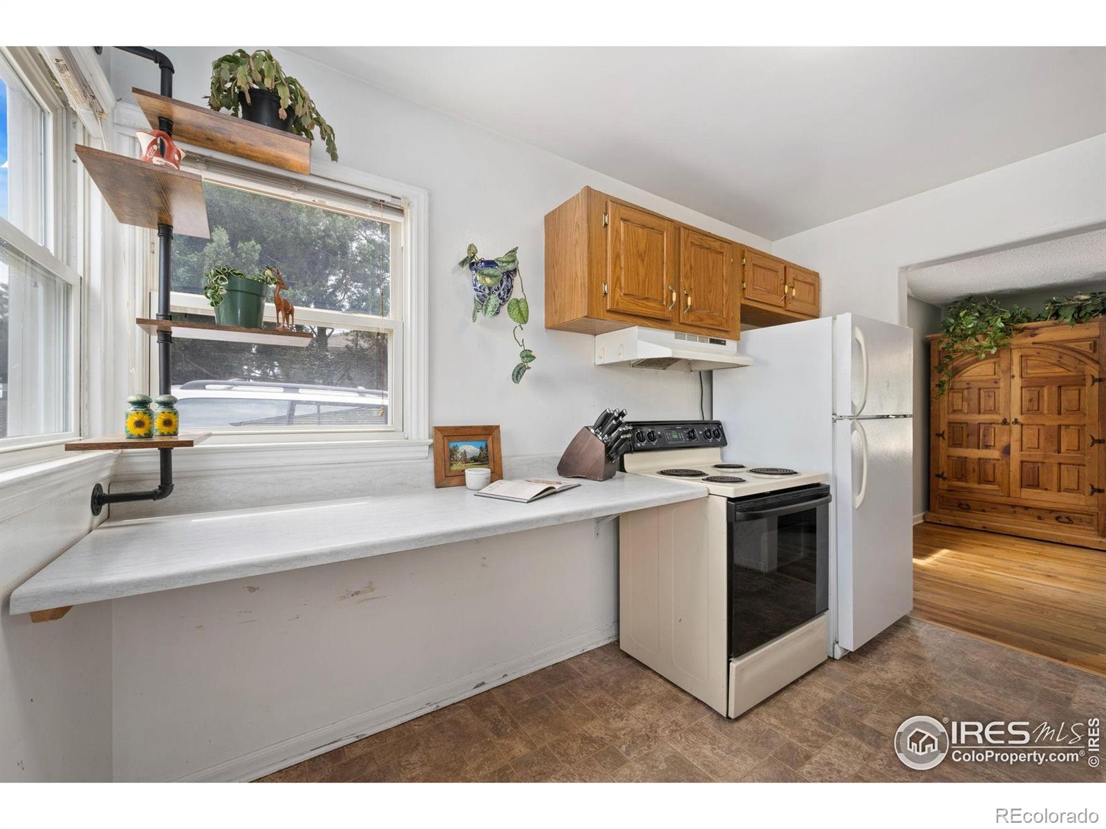 MLS Image #11 for 2312  cleveland avenue,loveland, Colorado