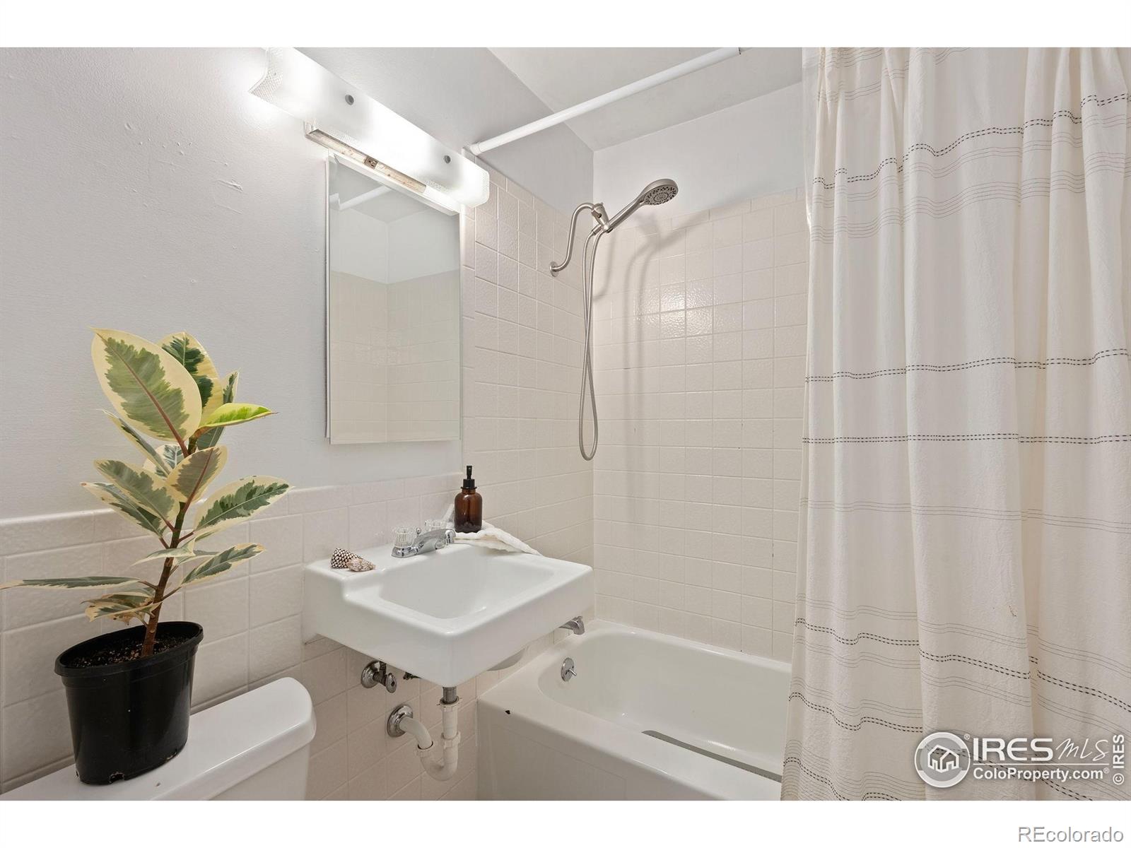 MLS Image #20 for 2312  cleveland avenue,loveland, Colorado