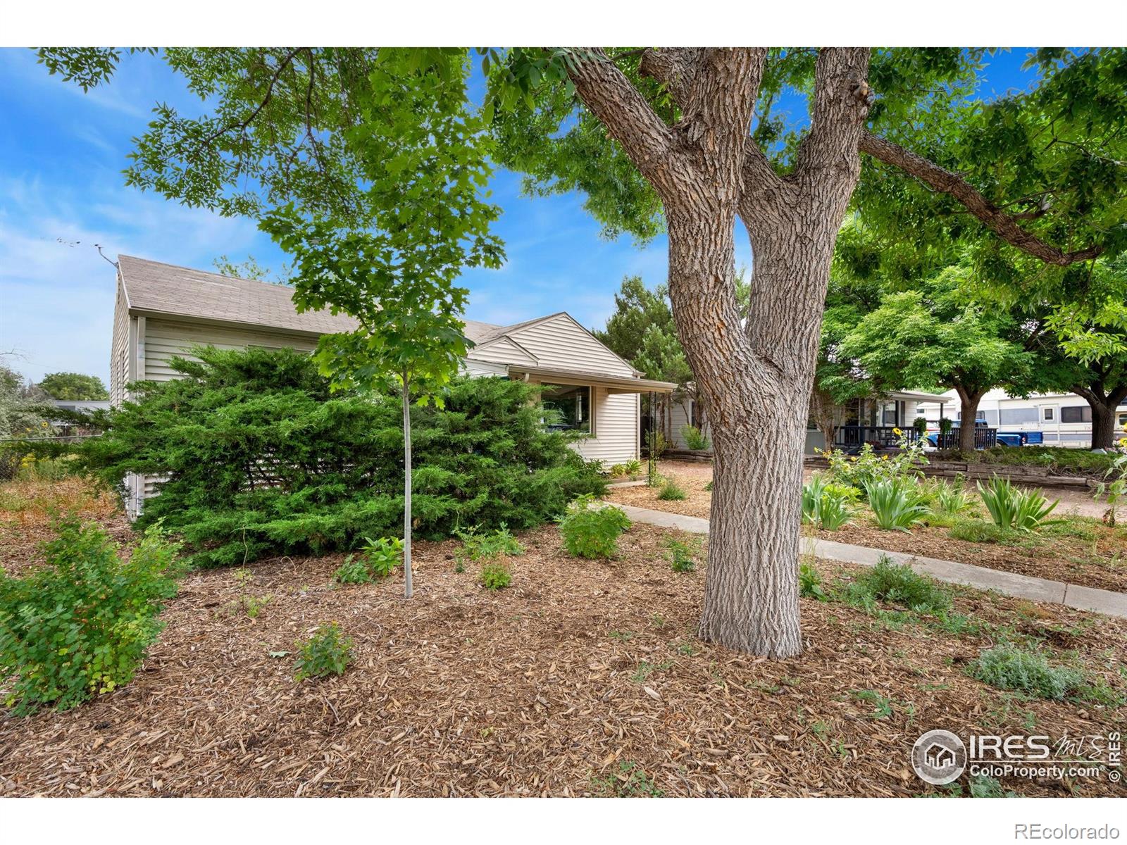 MLS Image #3 for 2312  cleveland avenue,loveland, Colorado