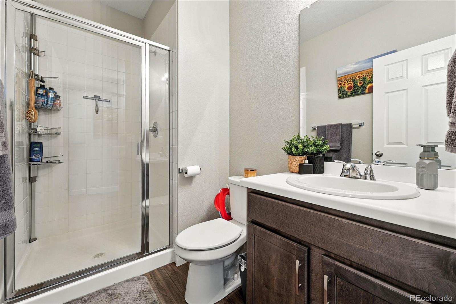 MLS Image #26 for 7359 s queensburg street,aurora, Colorado
