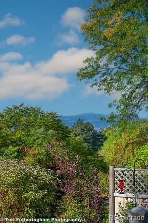MLS Image #32 for 2363 w 118th avenue,denver, Colorado