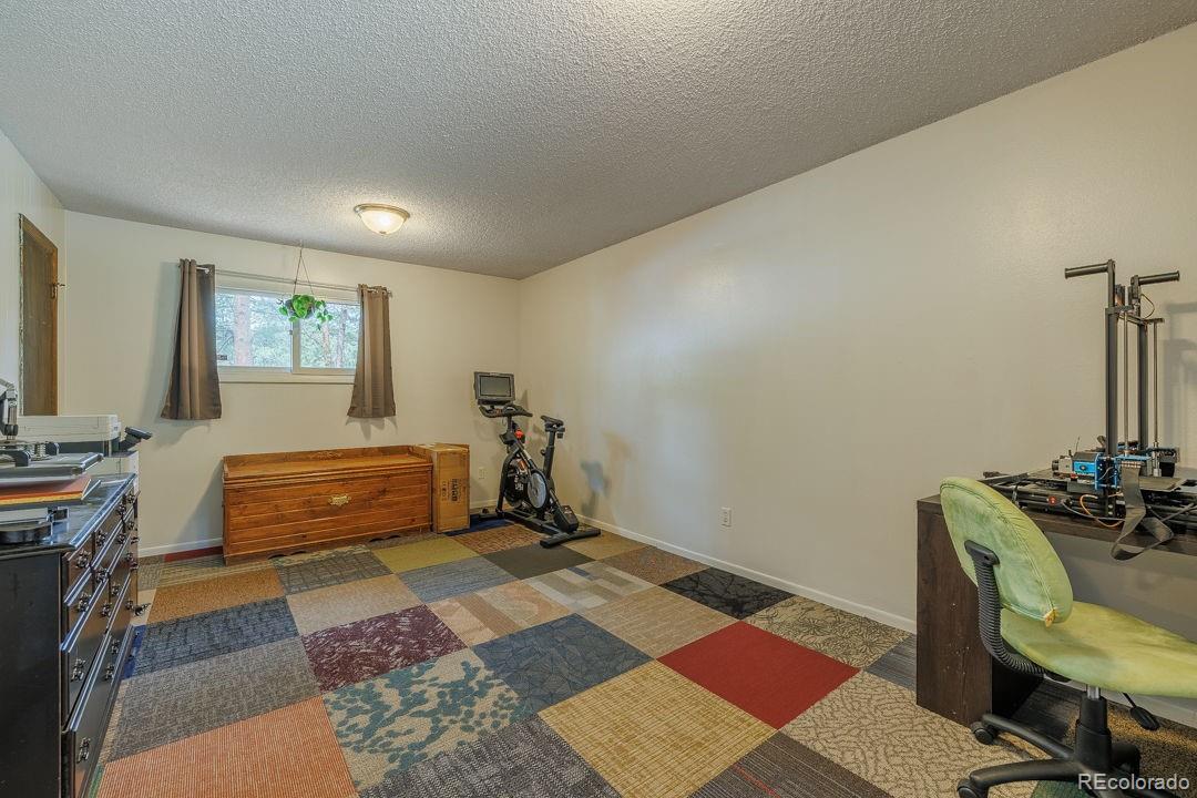 MLS Image #19 for 300 w kelleys road,woodland park, Colorado